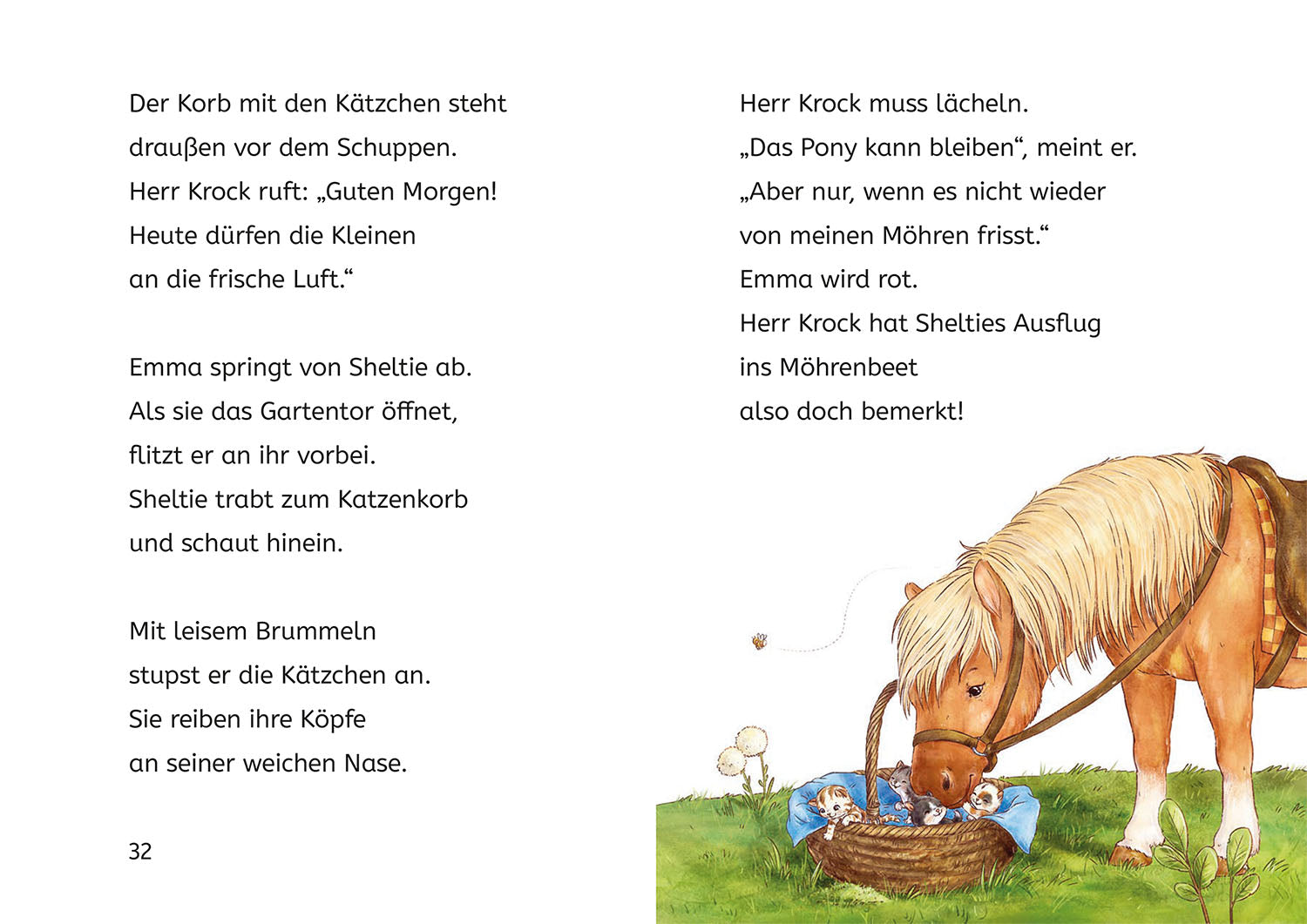kosmos-sheltie-und-die-katzenbabys-b-cherhelden-1-klasse-buch image 5