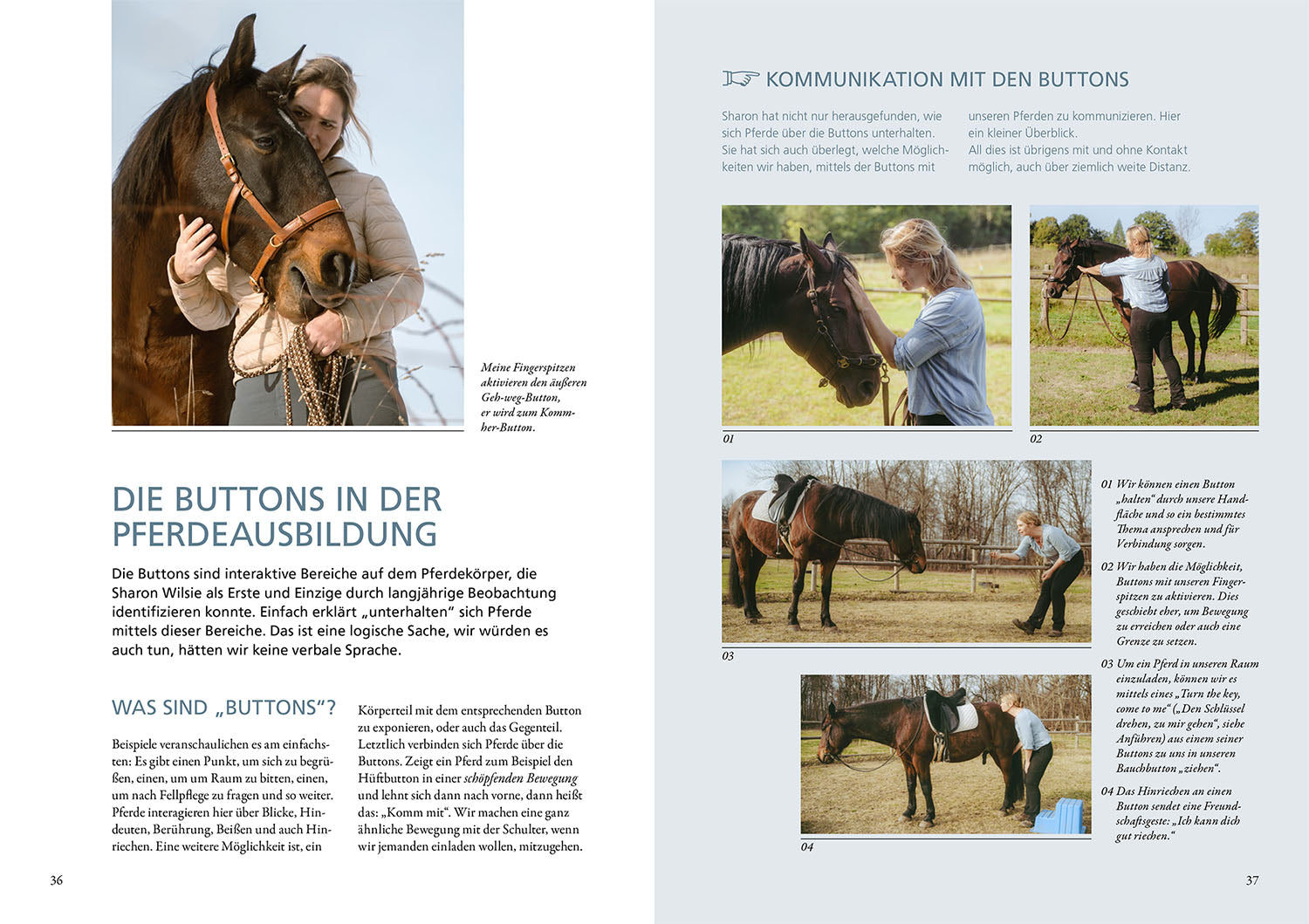 kosmos-horse-speak-buch-basis-f-r-feines-reiten-pferd image 4