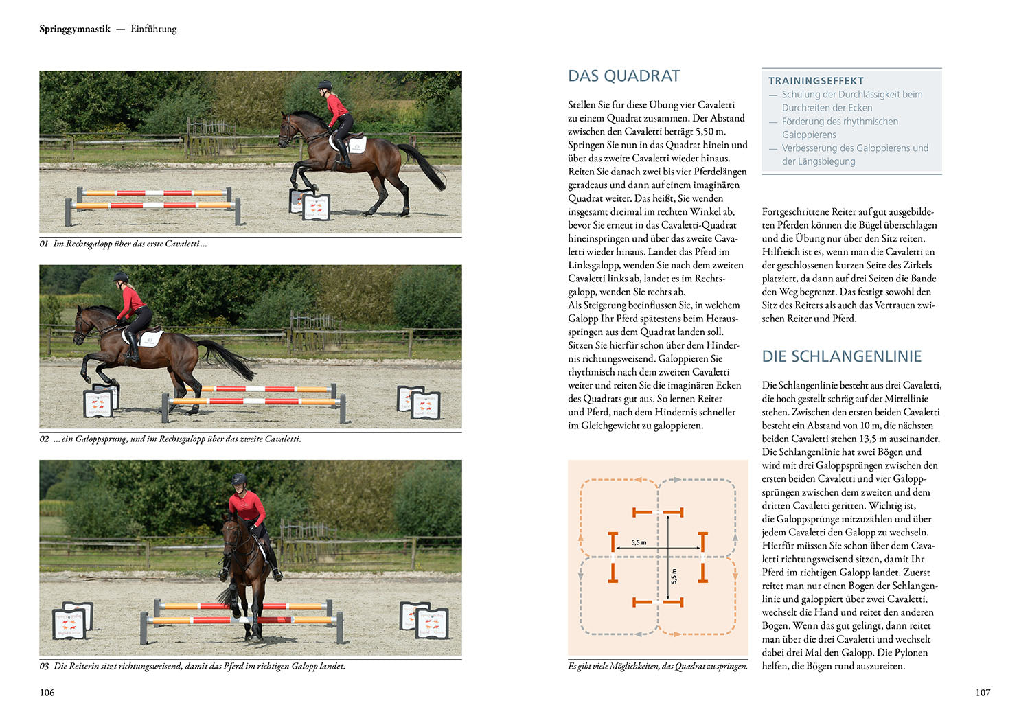 kosmos-cavaletti-buch-ingrid-klimke-pferdetraining image 5