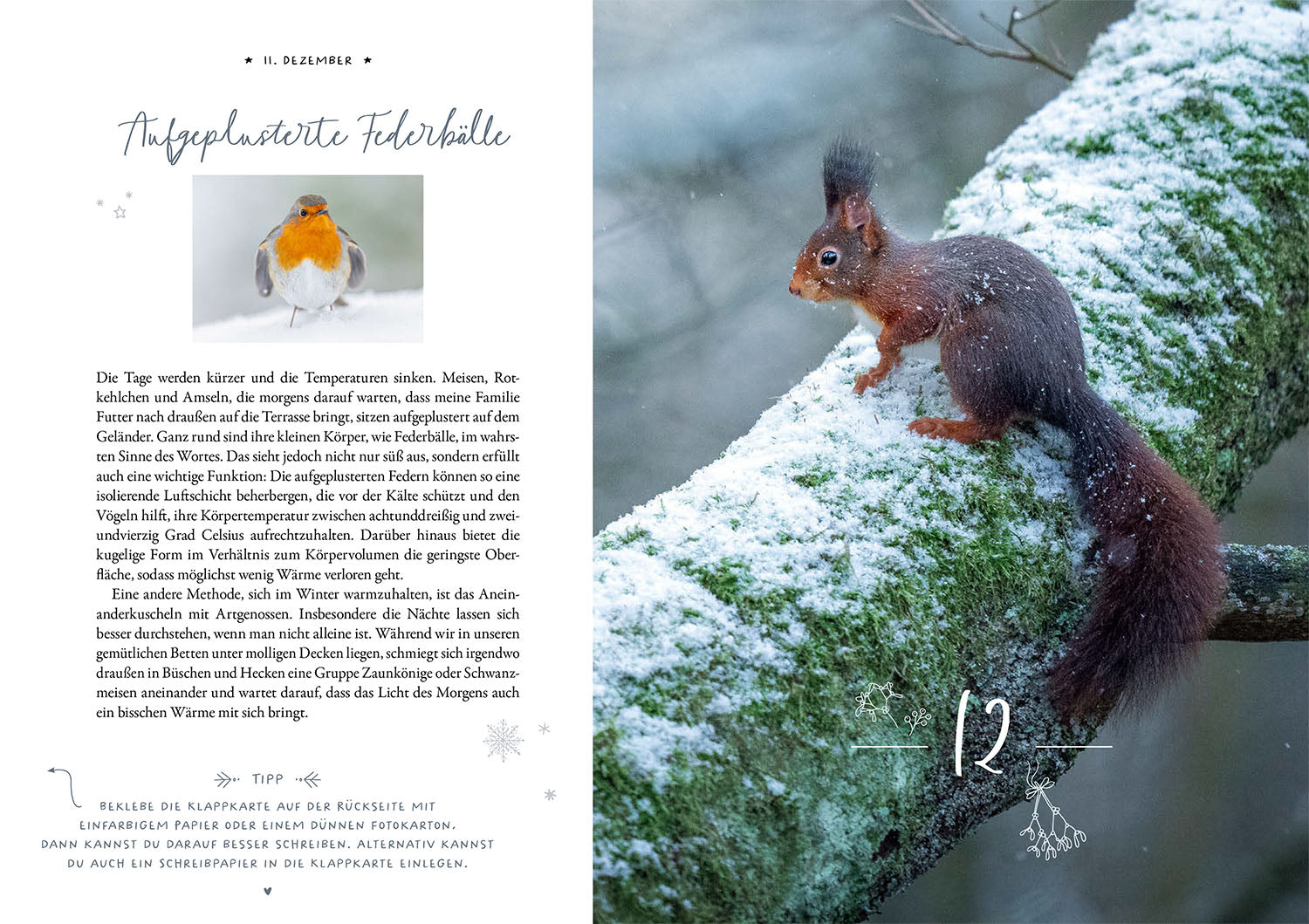 kosmos-winter-moments-in-nature-adventskalender-buch image 5