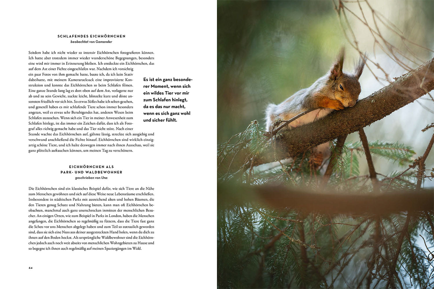 kosmos-moments-in-nature-buch-naturbildband-bestseller image 5