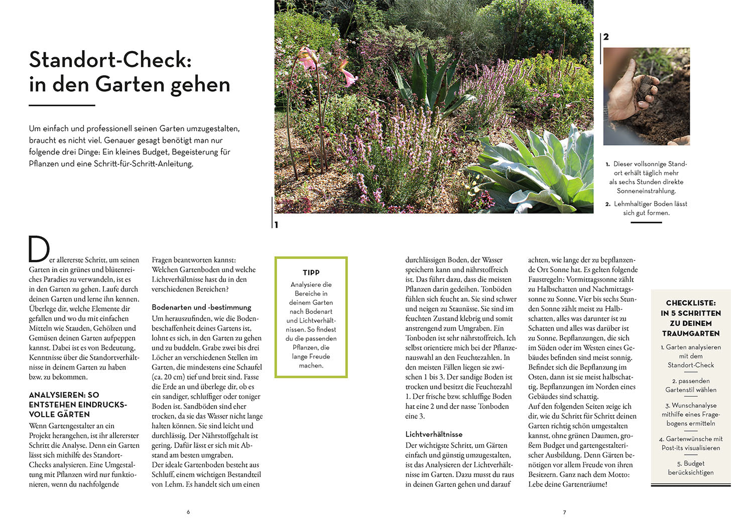 kosmos-garten-einfach-g-nstig-ratgeber-sparen-iris-winkenbach image 3