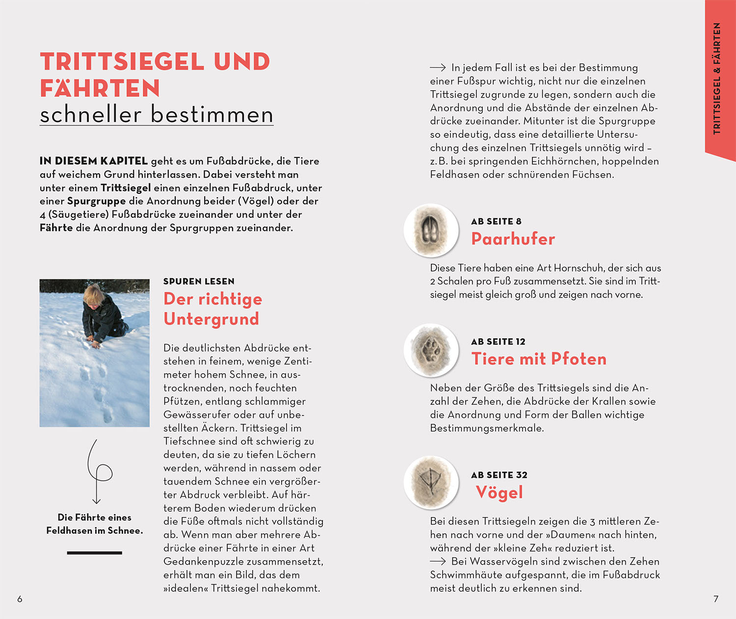 kosmos-basic-tierspuren-bestimmungsbuch-93-spuren-2 image 3