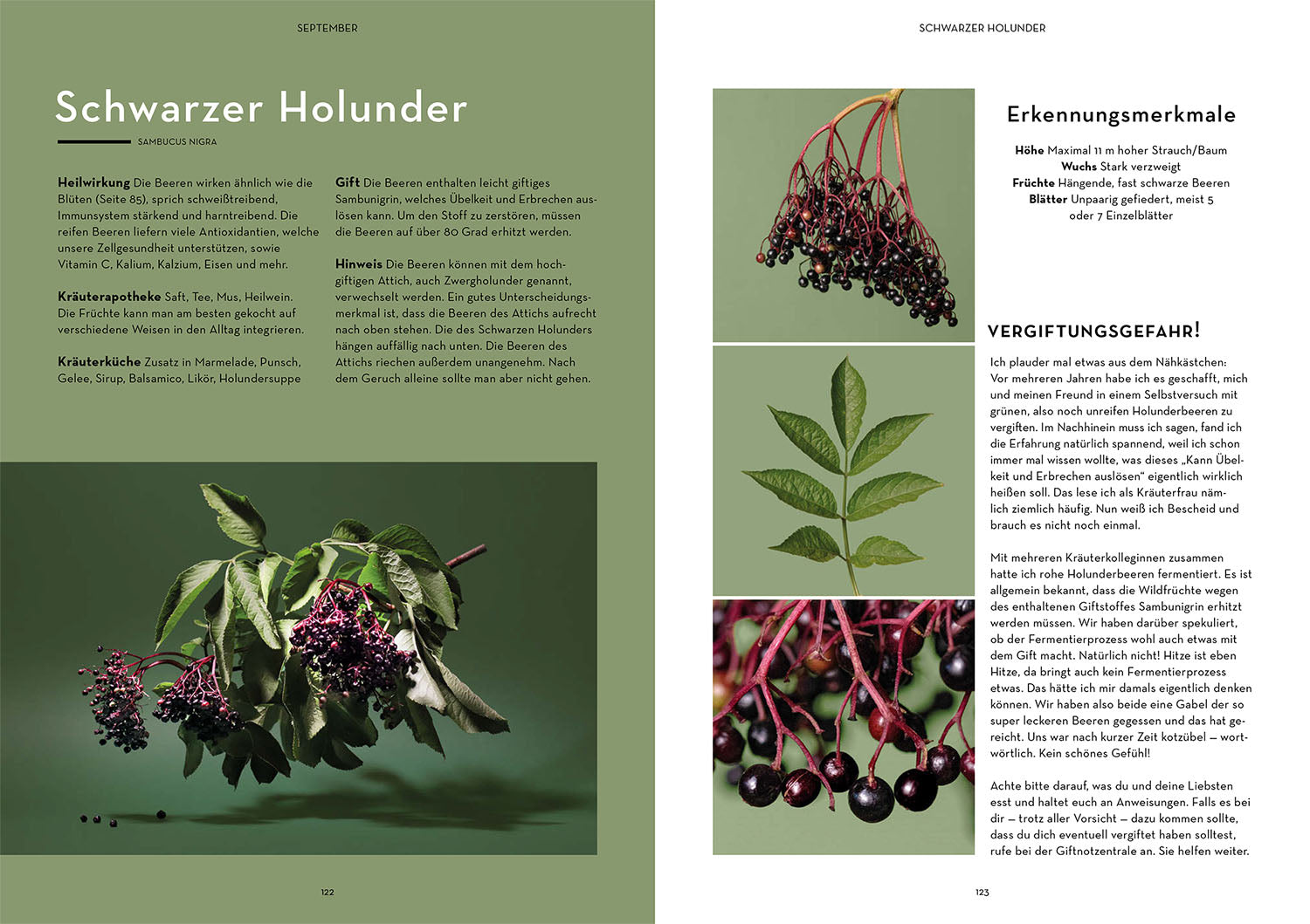 wild-durchs-jahr-isabel-fischer-wildkr-uter-buch-rezepte image 5