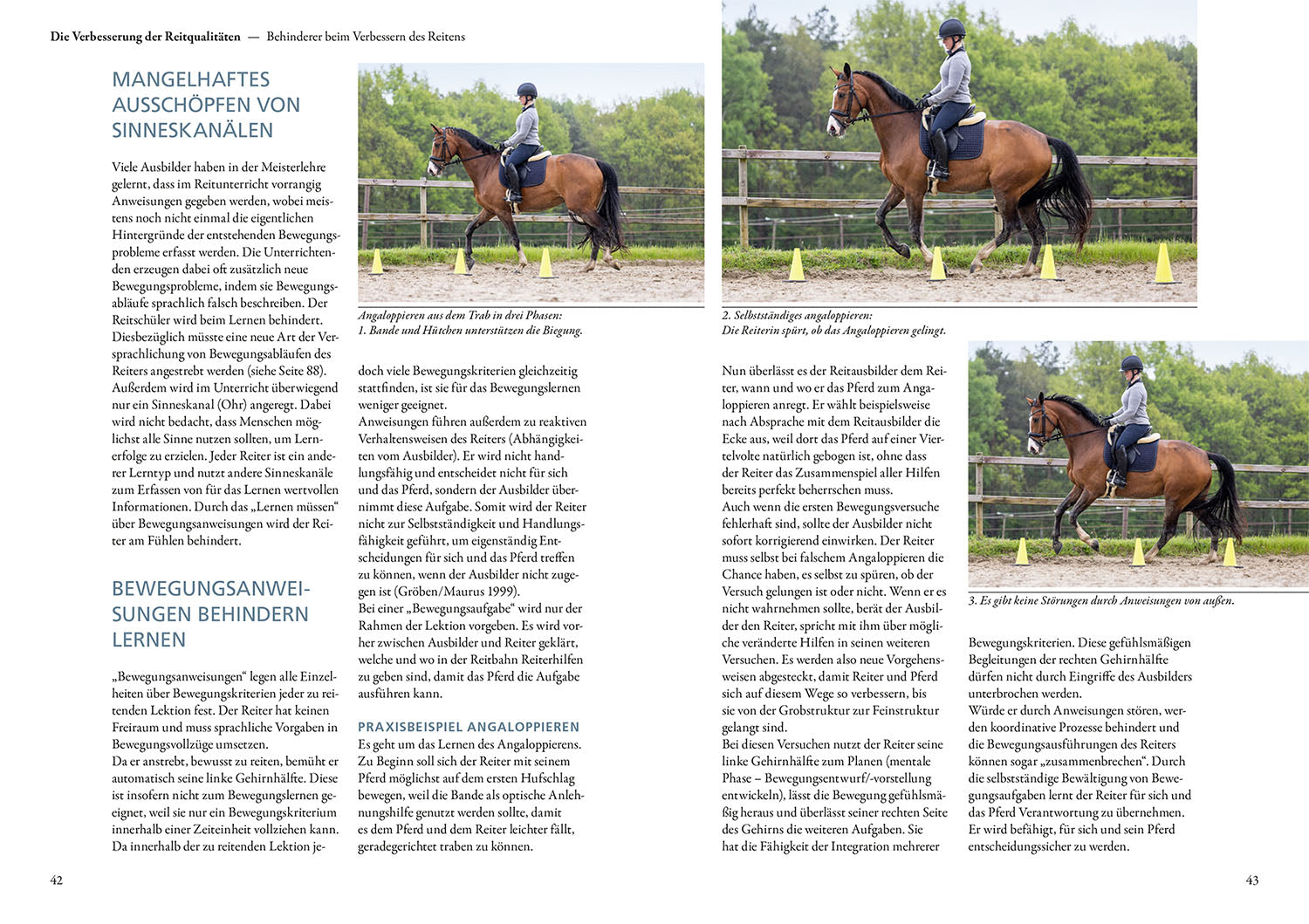 kosmos-verbessere-dein-reiten-buch-ratgeber-reiten-lernen image 4