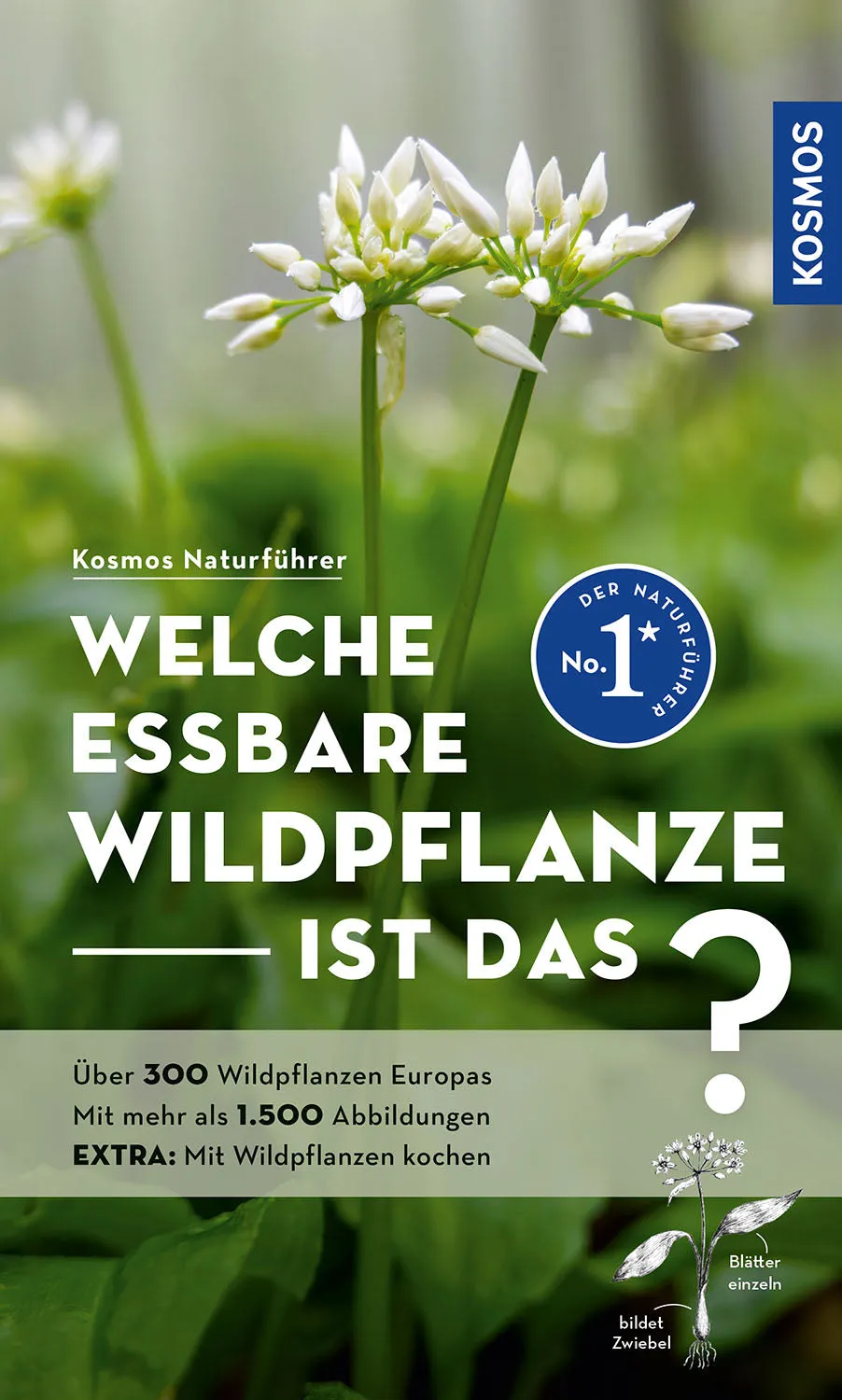 die-zauberkicker-welche-essbare-wildpflanze-ist-das-pflanzenf-hrer image 1