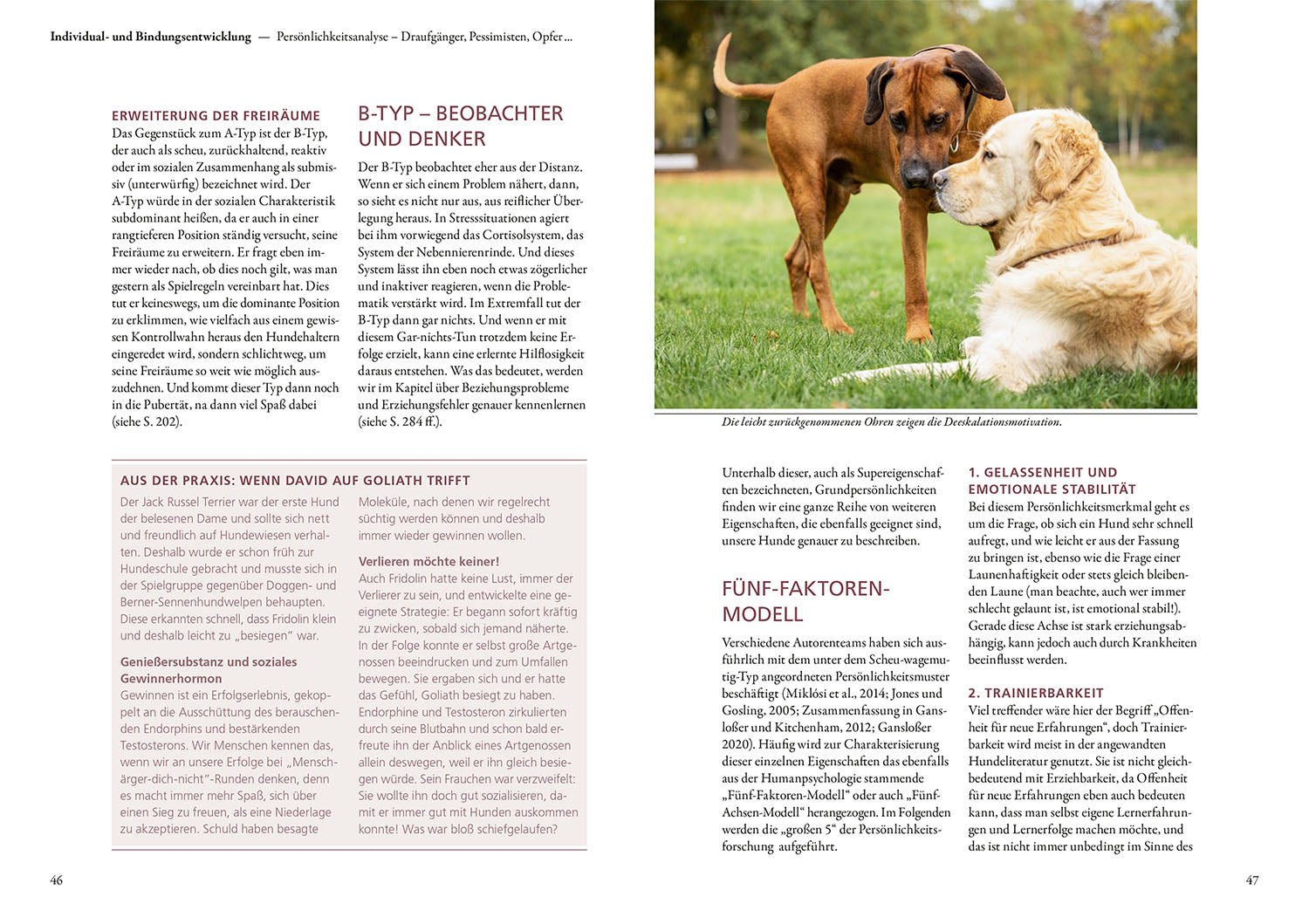 beziehung-erziehung-bindung-hundebuch-mensch-hund-ratgeber image 4