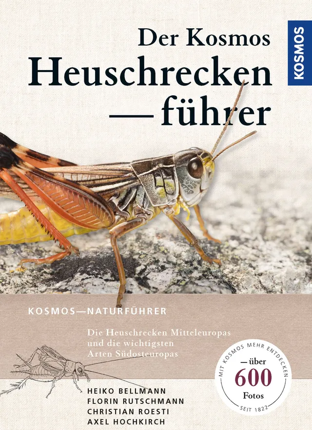 kosmos-heuschreckenf-hrer-bestimmungsbuch-300-arten-insekten image 1