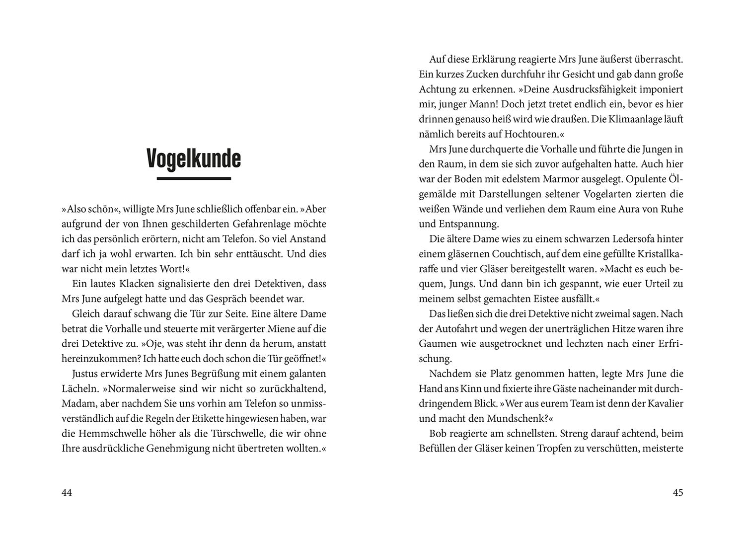 die-drei-der-ruf-der-kr-hen-kinderbuch-jugendkrimi-fall image 3