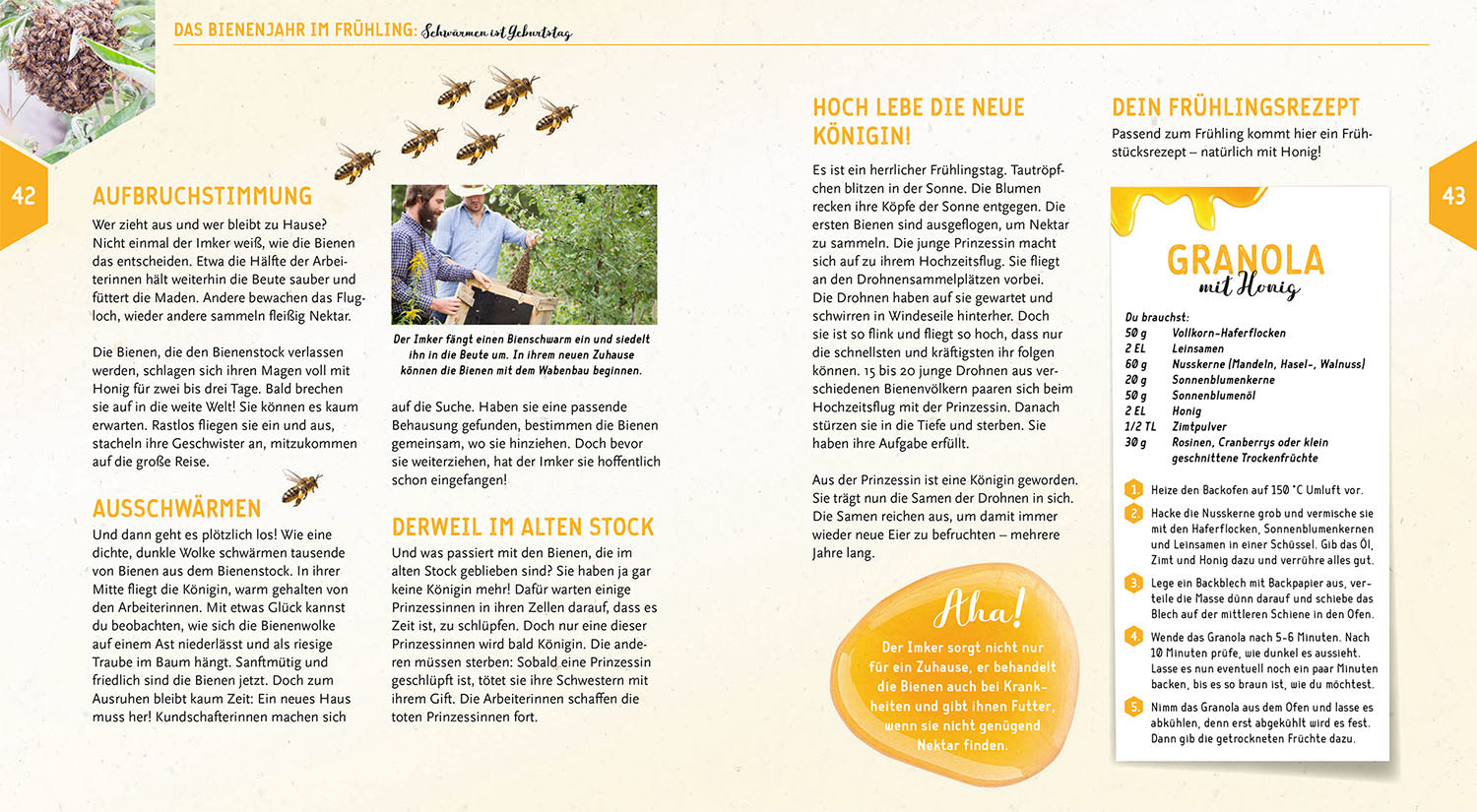 kosmos-ein-jahr-mit-den-bienen-ratgeber-mit-samen image 6