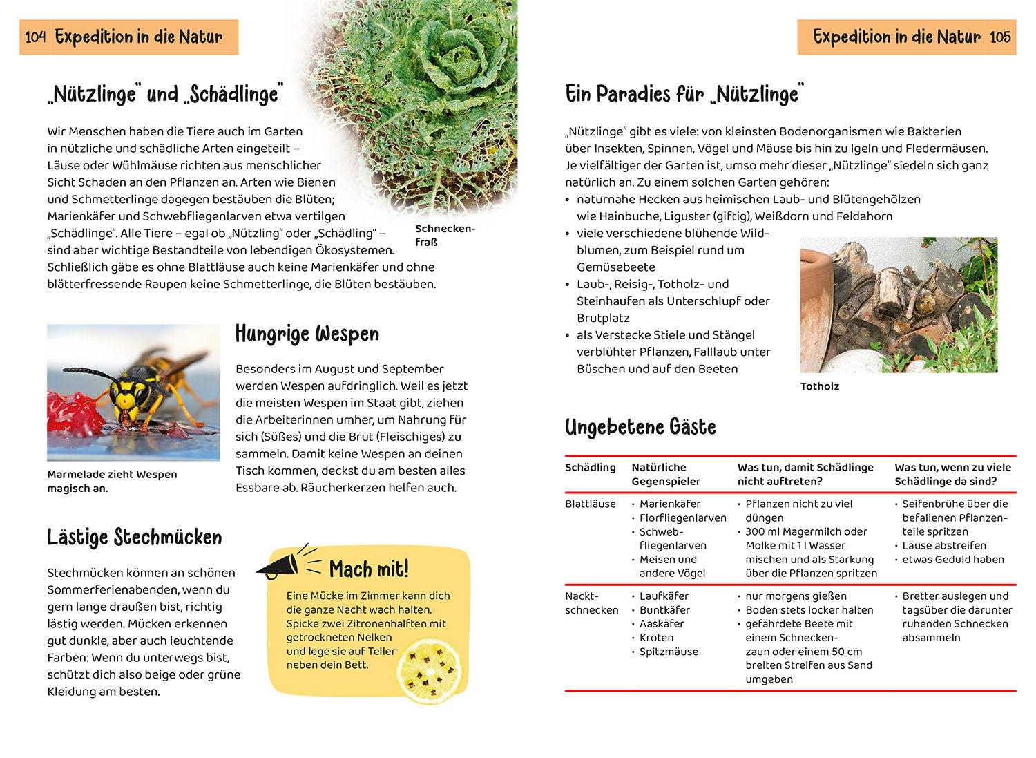 kosmos-was-lebt-im-garten-kindernaturf-hrer-tiere-pflanzen-garten image 6