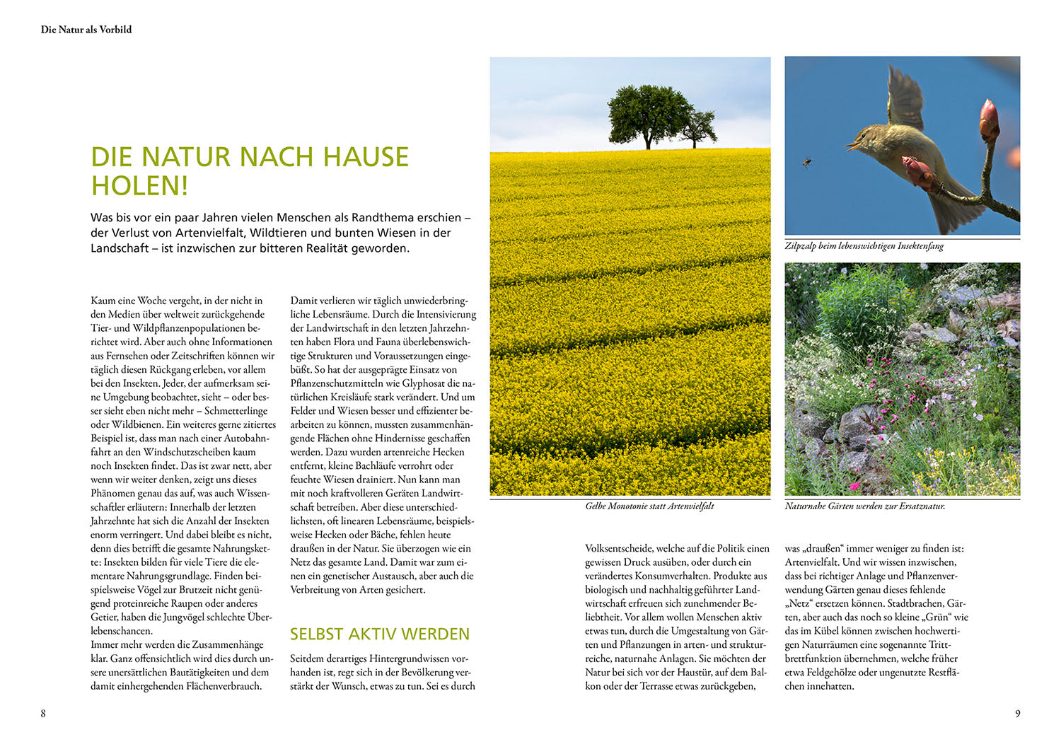 kosmos-wilde-k-bel-gartenbuch-balkon-von-simone-kern image 3