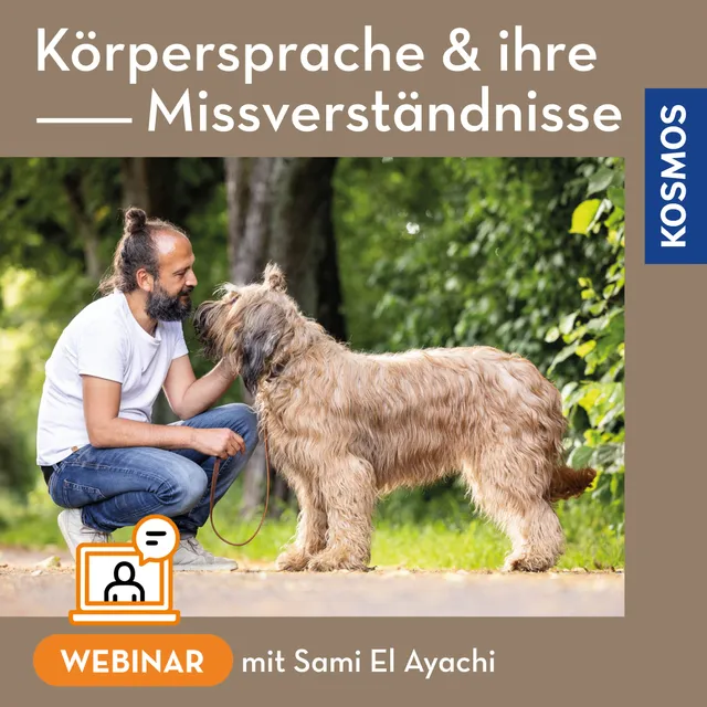 k-rpersprache-und-ihre-missverst-ndnisse-webinar-hund image 1