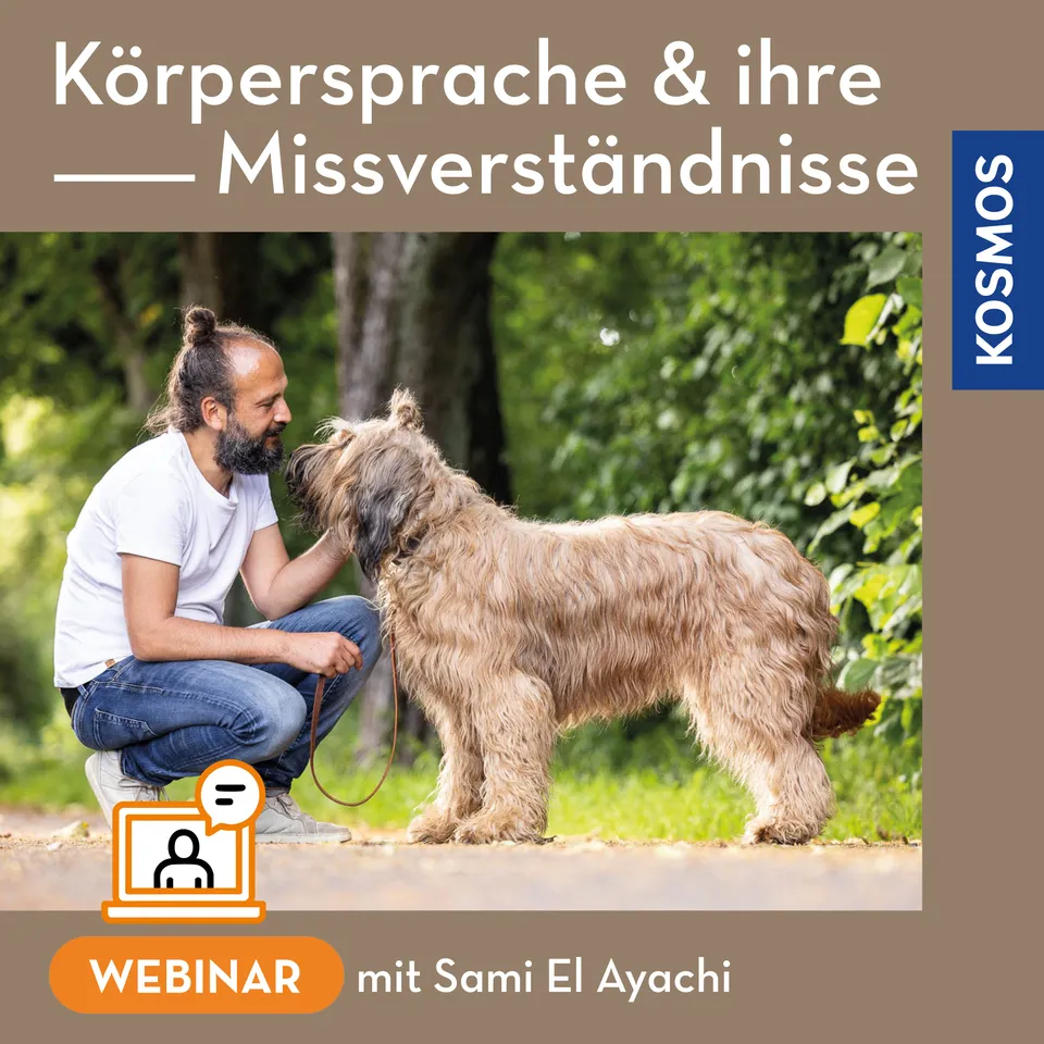 k-rpersprache-und-ihre-missverst-ndnisse-webinar-hund image 1