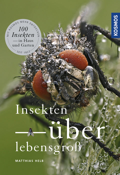 kosmos-insekten-berlebensgro-ebook-100-arten-naturf-hrer image 1