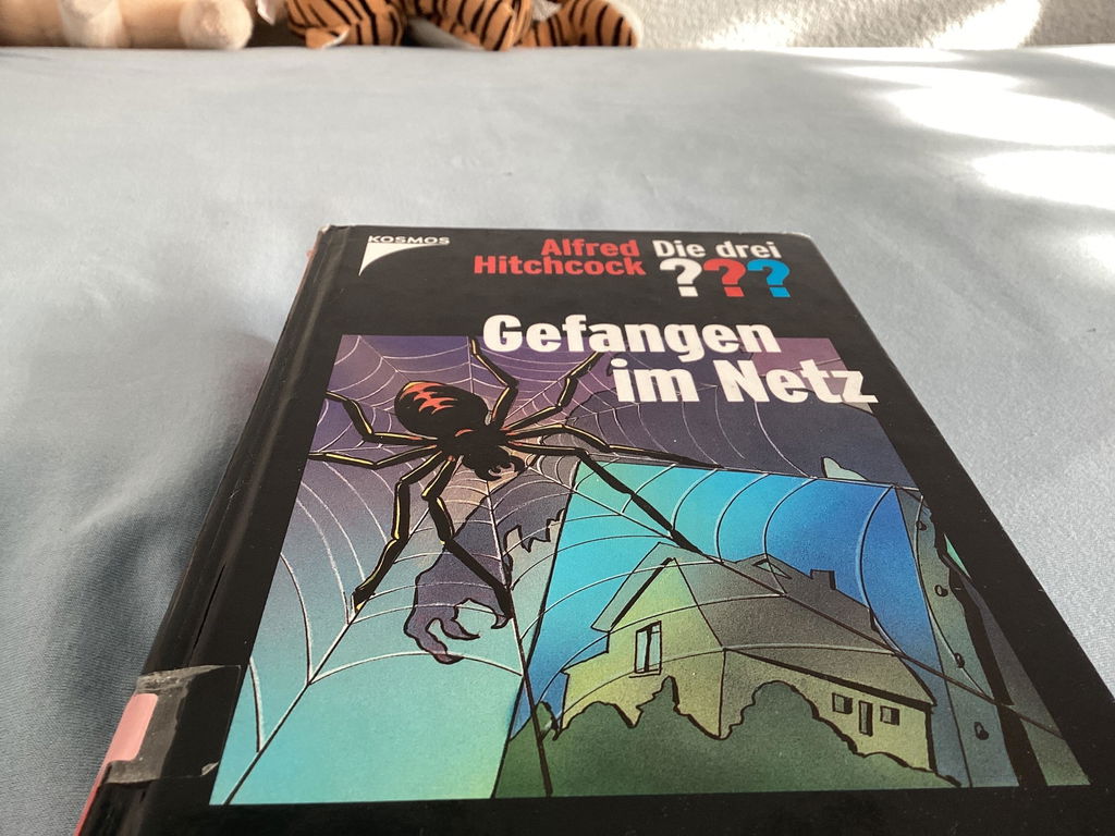 Spannend zum Mitraten