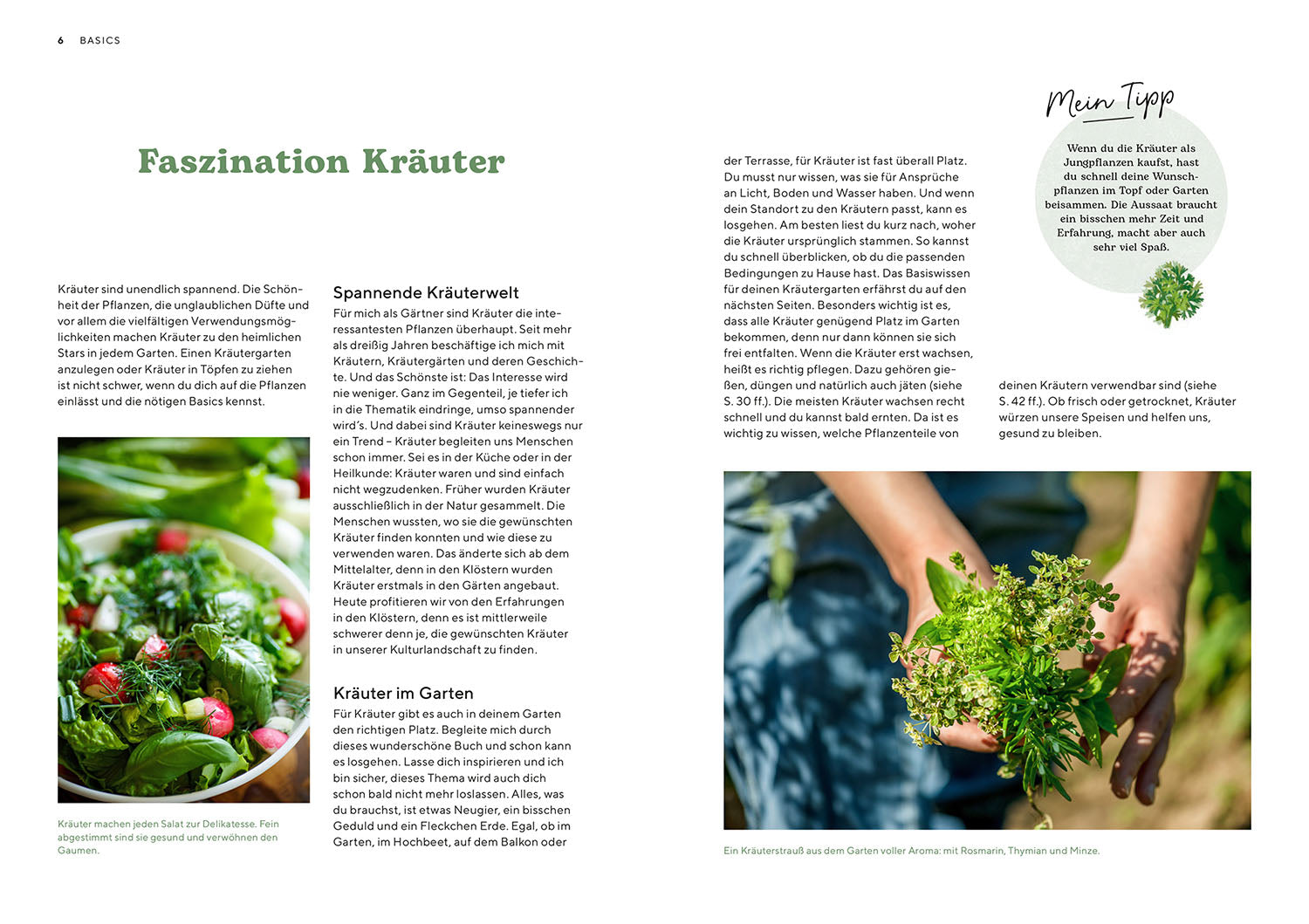 kosmos-kr-utergarten-ratgeber-kr-uterbeet-einsteiger image 3