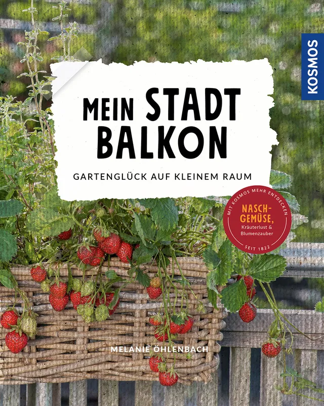 die-zauberkicker-mein-stadtbalkon-ratgeber-ebook-balkong-rtnern image 1