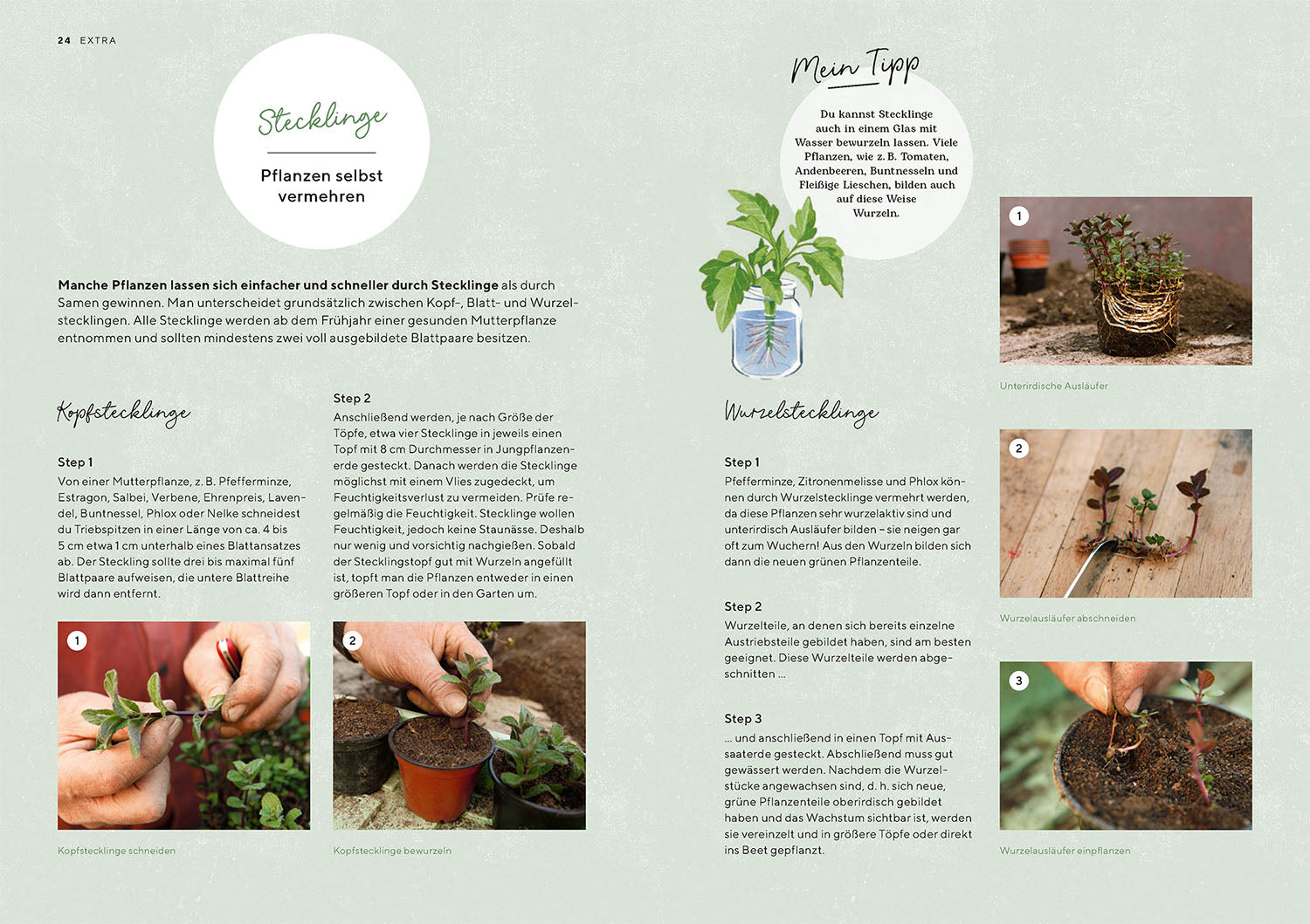 die-zauberkicker-biog-rtnern-buch-bio-garten-einsteiger image 4