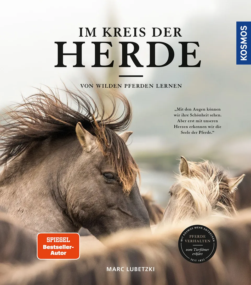 im-kreis-der-herde-wildpferde-buch-marc-lubetzki-e-book image 1