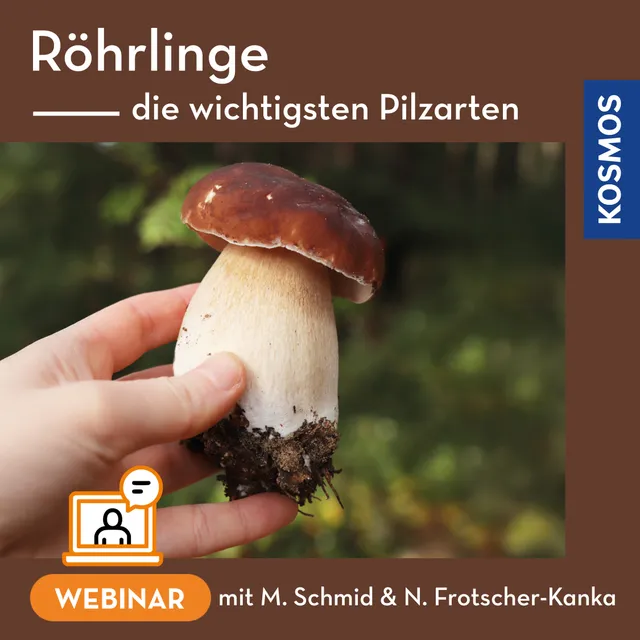 kosmos-digital-r-hrlinge-pilzarten-webinar-live-webinar-pilzbestimmung image 1