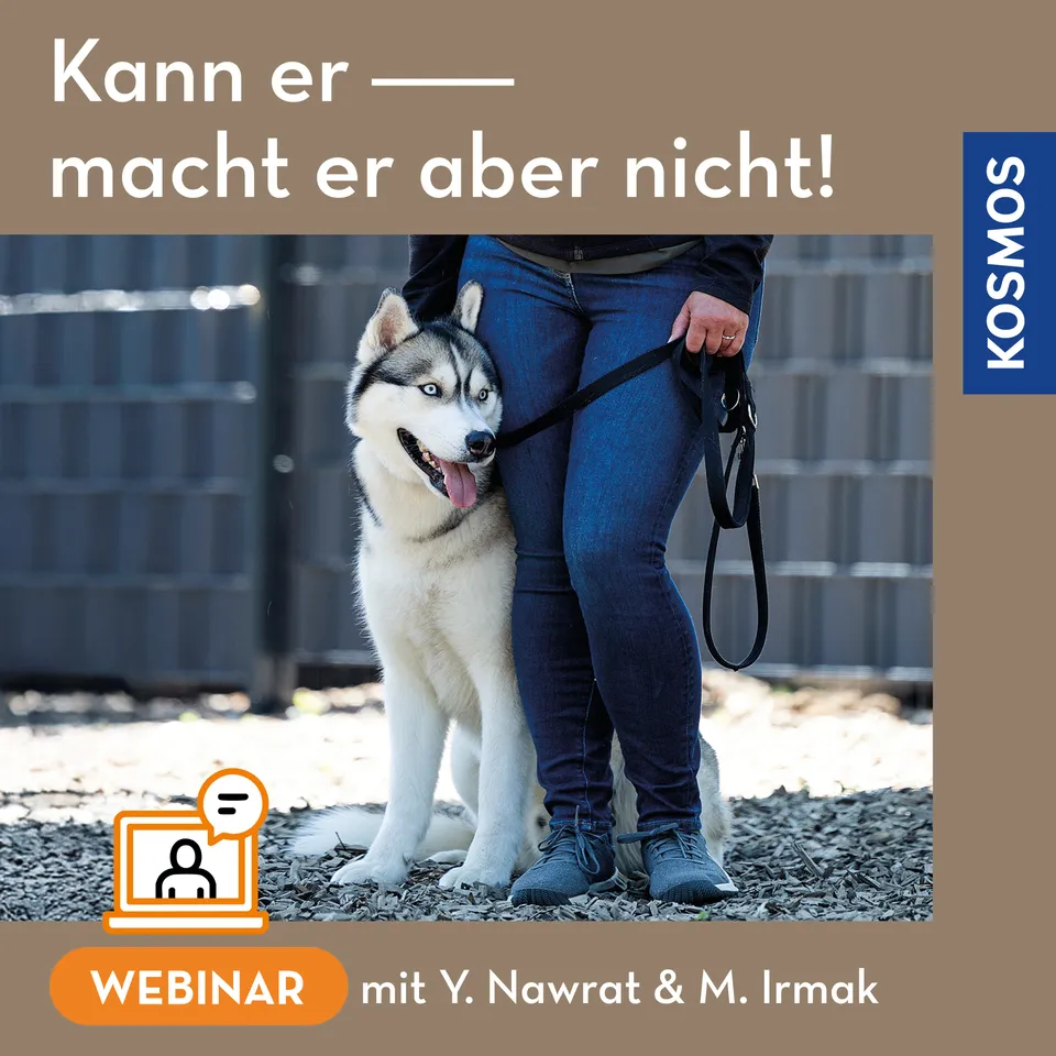 kann-er-macht-er-aber-nicht-live-webinar-hundetraining-alltag image 1