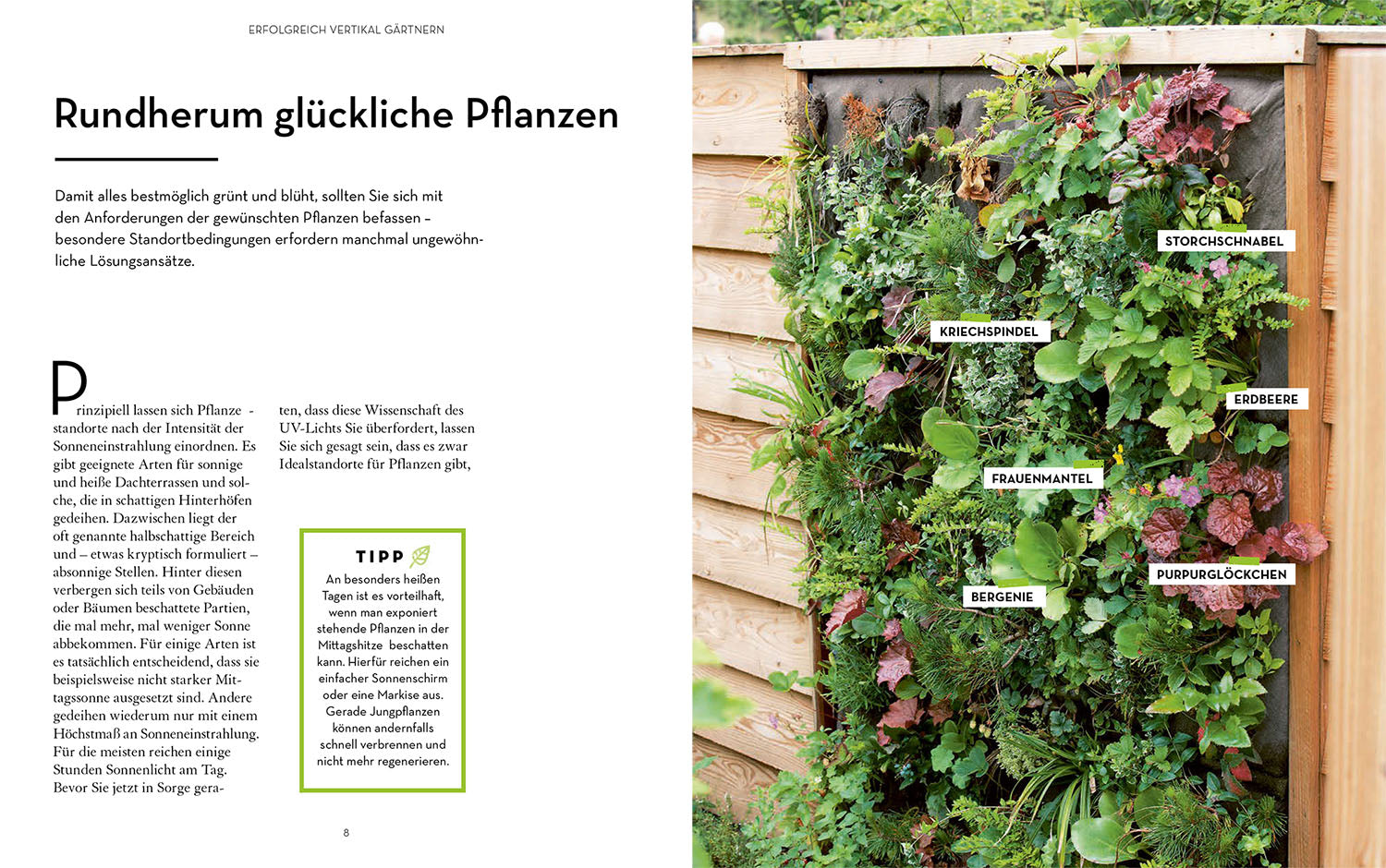 vertikal-g-rtnern-ratgeber-f-r-balkon-und-garten image 3