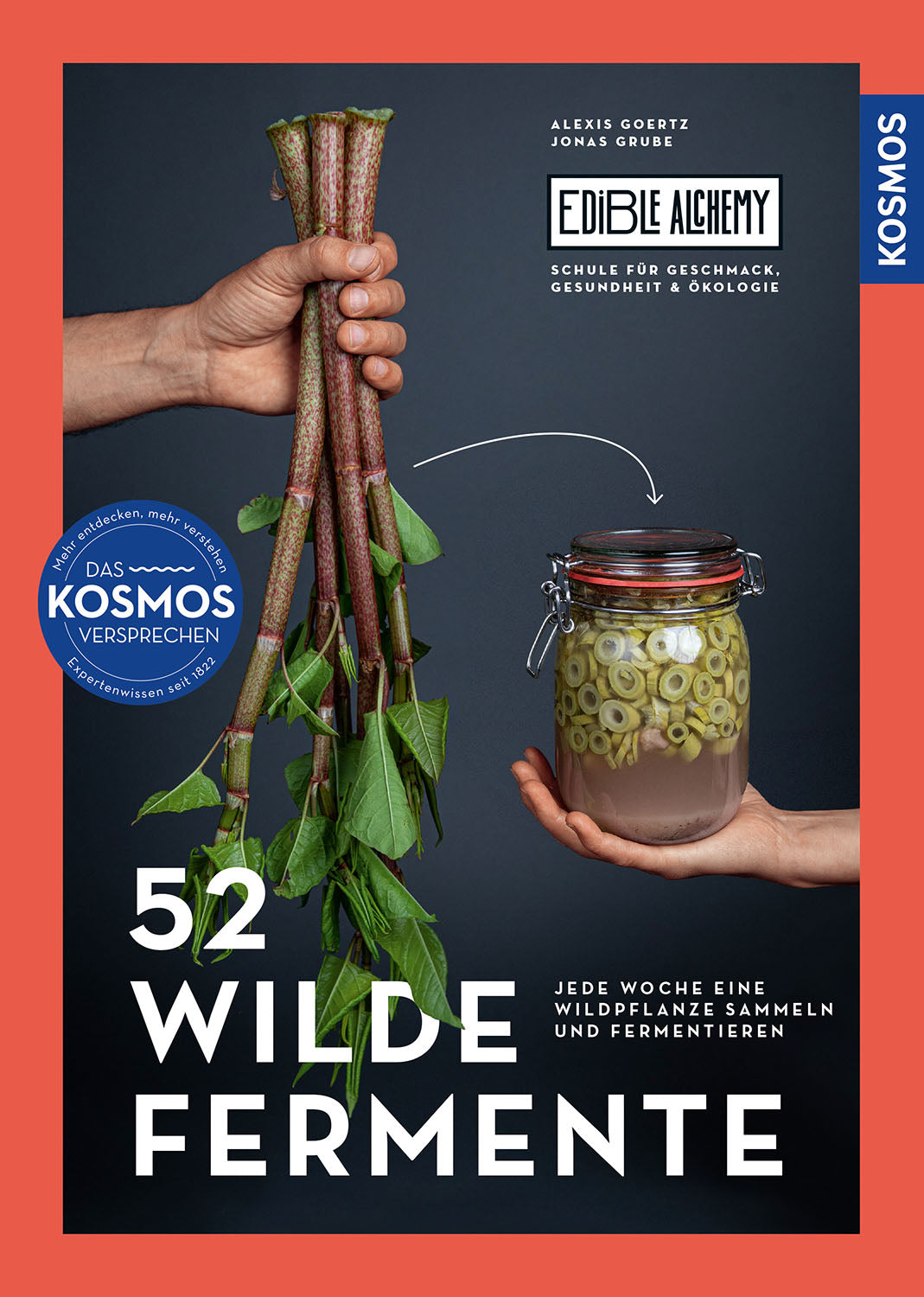 kosmos-52-wilde-fermente-buch-fermentieren-kimchi-kombucha image 1