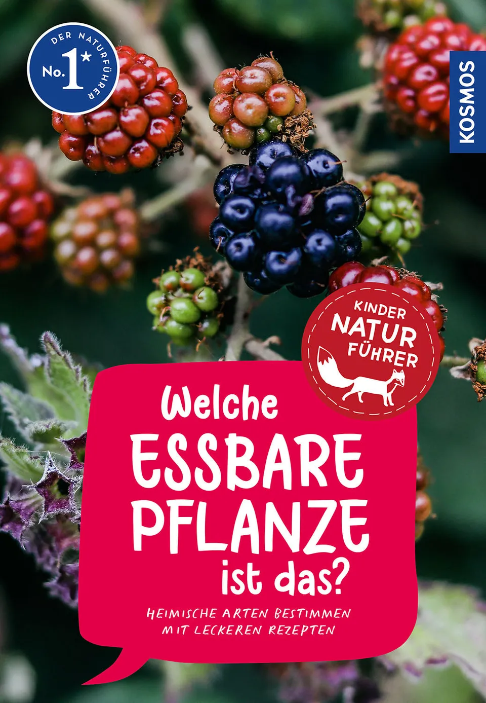 welche-essbare-pflanze-ist-das-kindernaturf-hrer-ab-8-jahre image 1