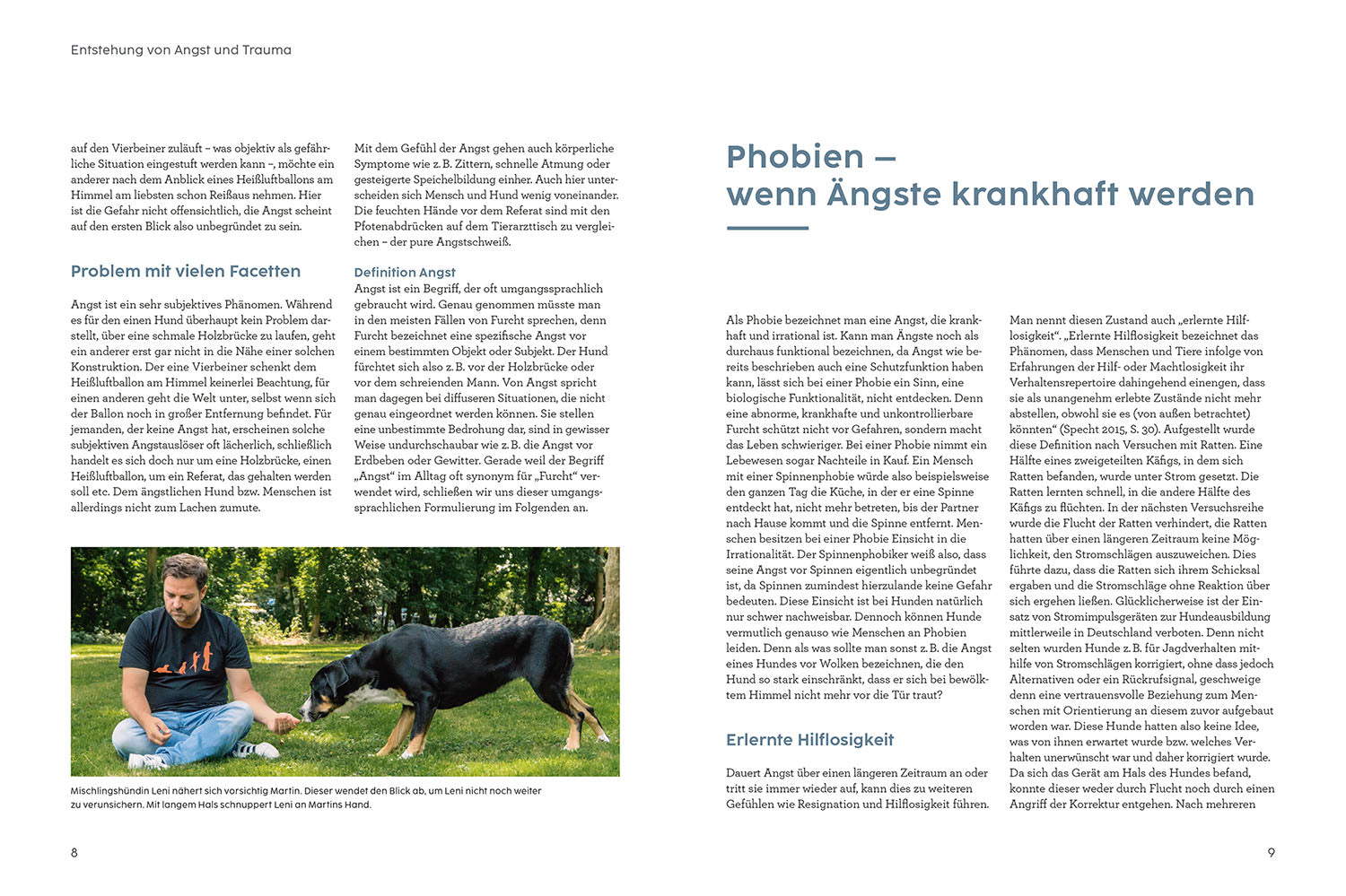 kosmos-angst-bei-hunden-mit-martin-r-tter-hunde-ratgeber image 2
