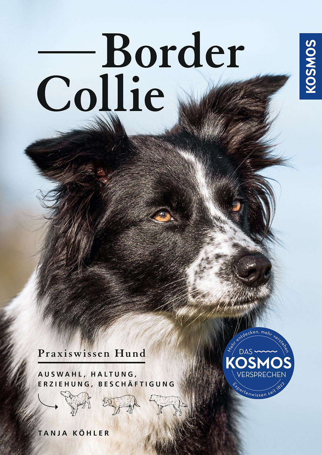 kosmos-border-collie-ratgeber-ebook-haltung-erziehung image 1