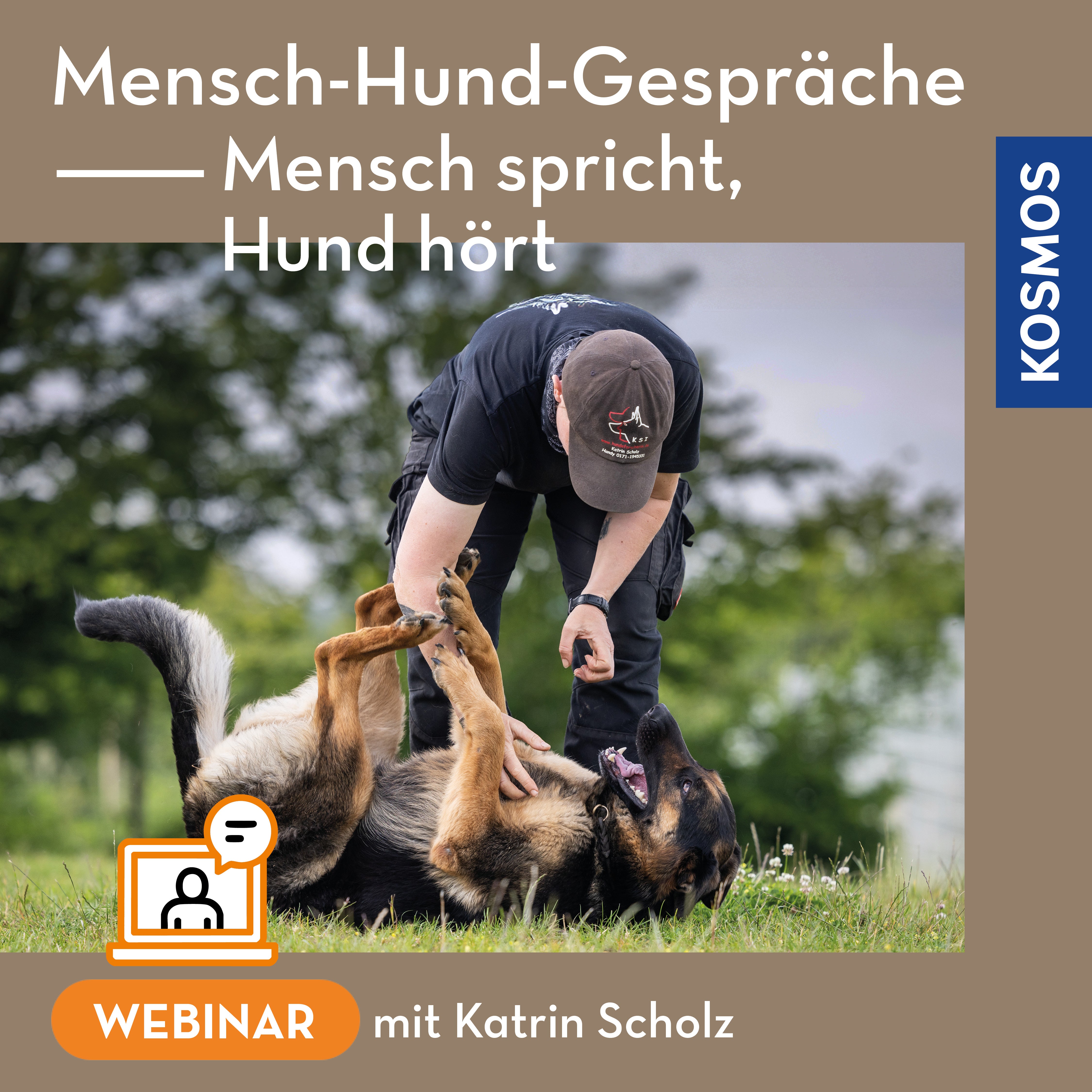 mensch-hund-gespr-che-webinar-live-webinar-katrin-scholz image 1