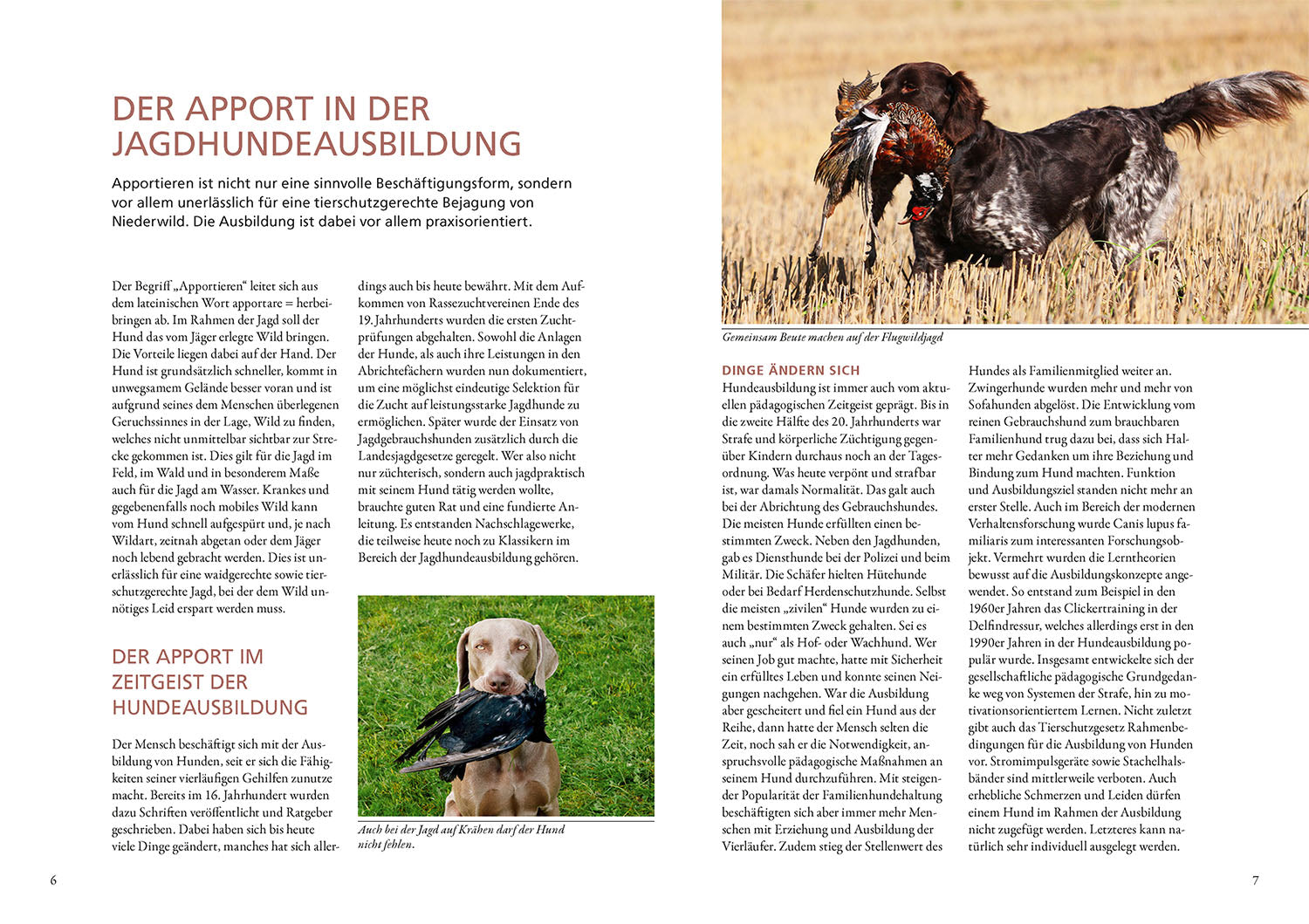 kosmos-mit-freude-bringen-hunde-ratgeber-apportieren image 3