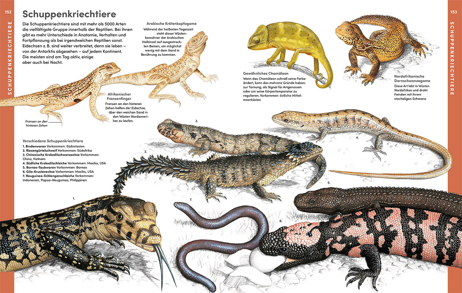 kosmos-der-gro-e-kosmos-tieratlas-buch-tiere-der-welt-gro-format image 5