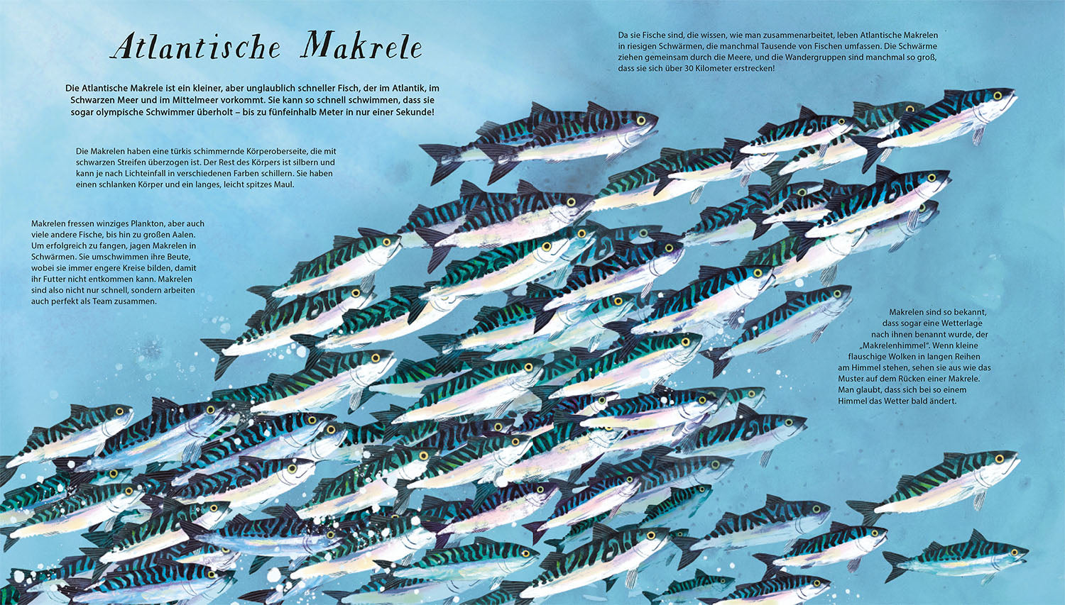 schwimm-mit-uns-mitmachbuch-3d-fische-20-arten image 5