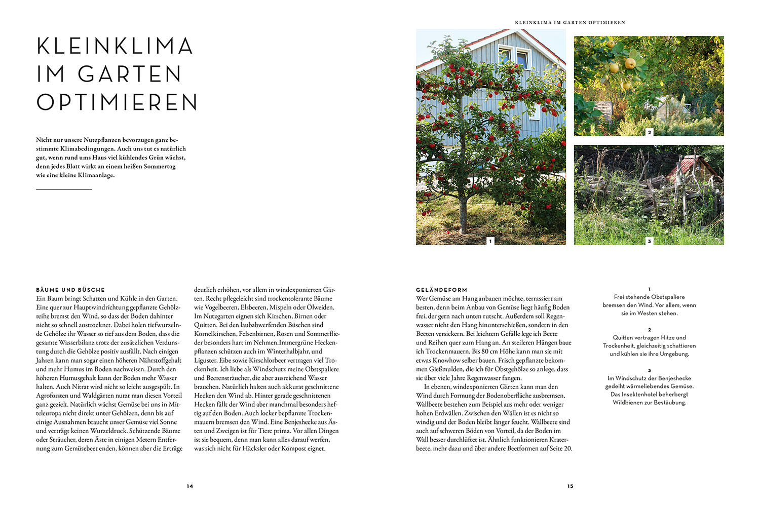 kosmos-trockenhelden-im-gem-sebeet-gartenbuch-trockenheit image 3