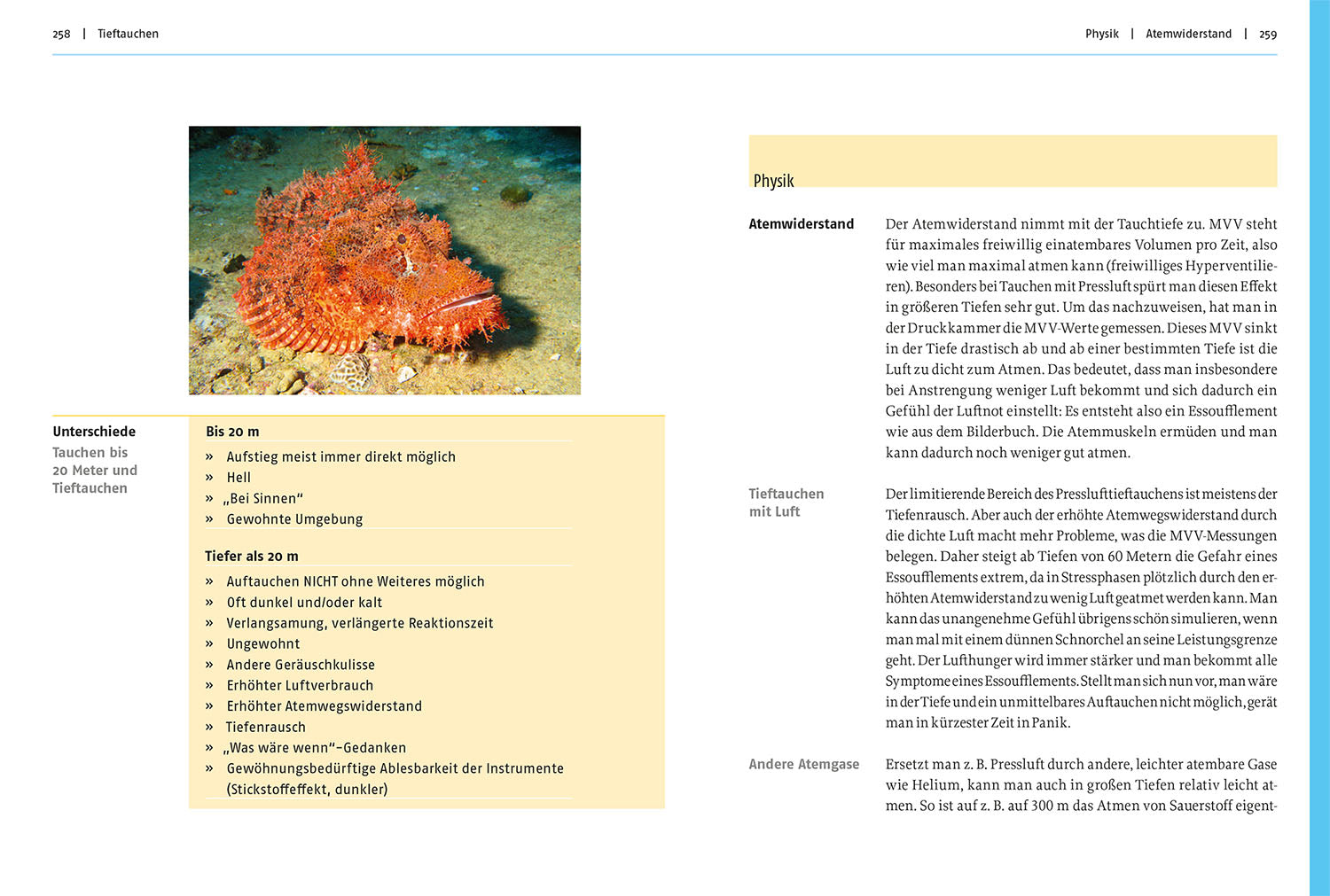 kosmos-modernes-tauchen-handbuch-tauchschein-pr-fung image 5