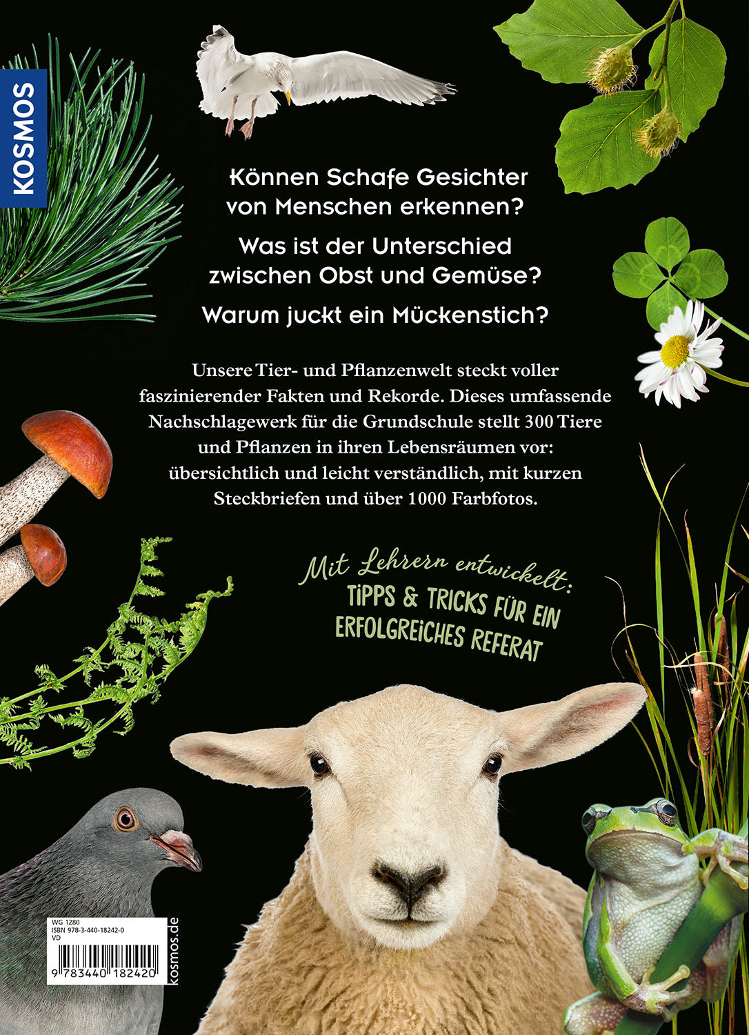 mein-kosmos-grundschullexikon-tiere-pflanzen-nachschlagewerk image 2