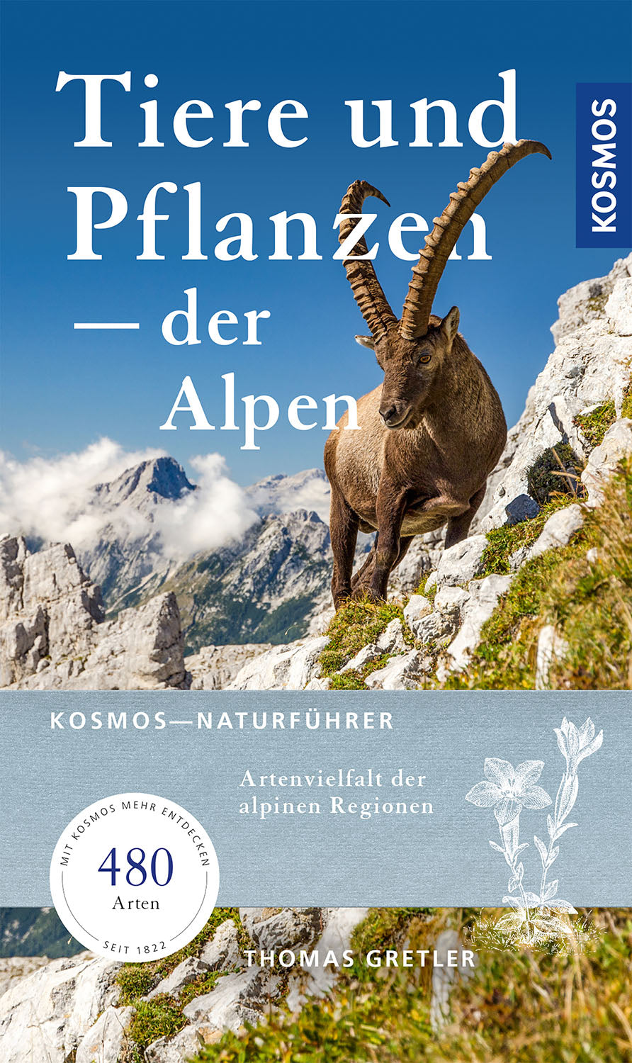 kosmos-tiere-pflanzen-der-alpen-naturf-hrer-ebook-lebensr-ume image 1