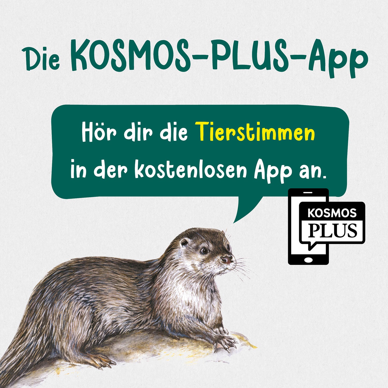 kosmos-was-lebt-an-bach-und-teich-kindernaturf-hrer-85-arten image 7