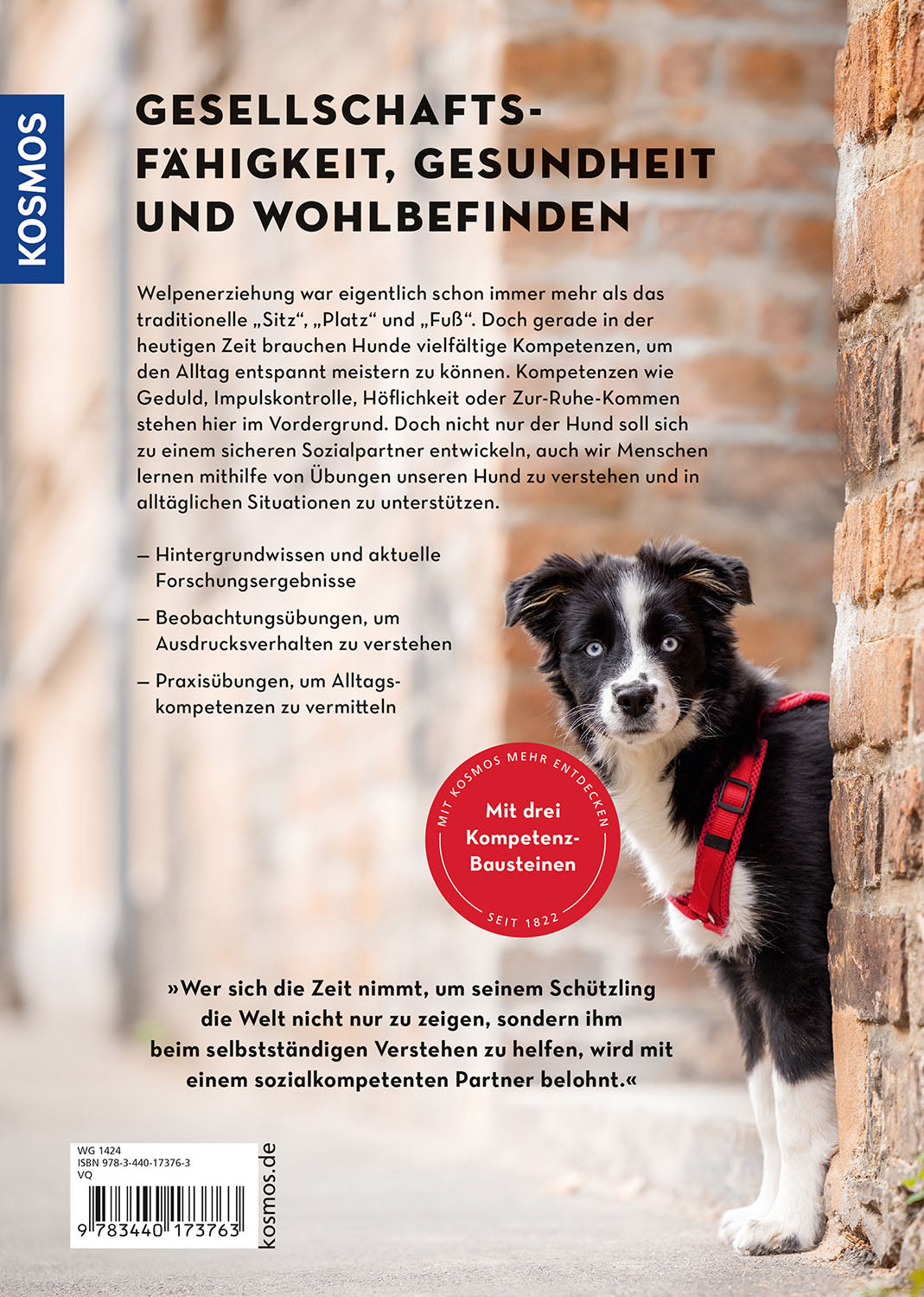 die-zauberkicker-moderne-welpenerziehung-hunde-ratgeber-20-bungen image 2