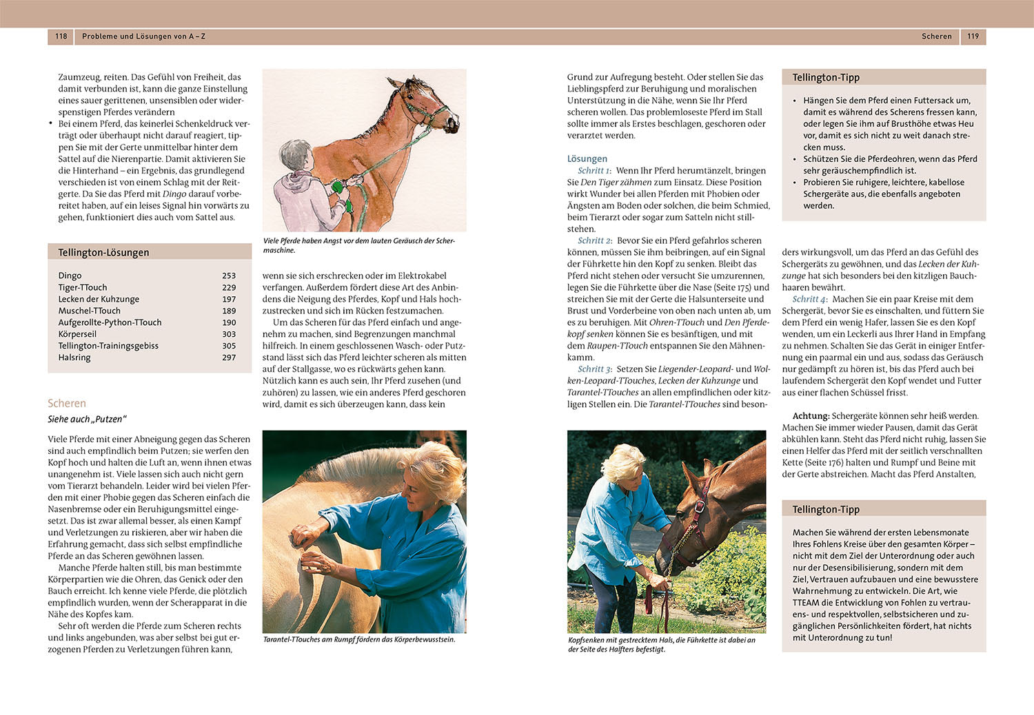 kosmos-tellington-training-f-r-pferde-buch-ttouches image 4