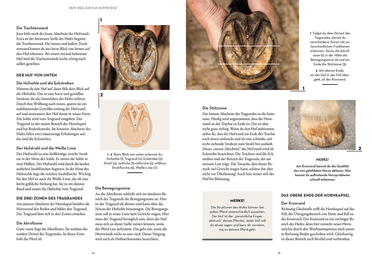 kosmos-hufe-lesen-buch-pferdehufe-huf-form-ratgeber image 3