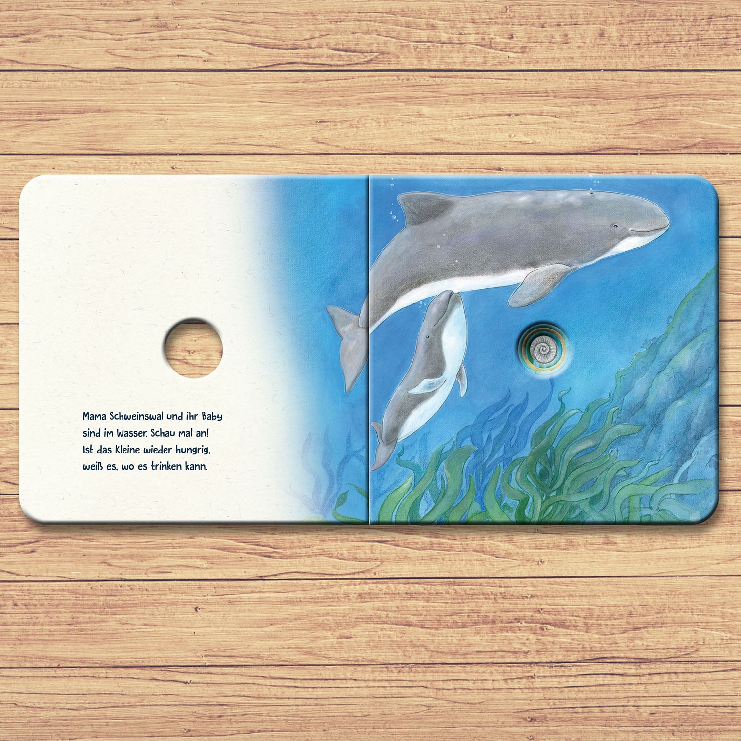 kosmos-guck-mal-tief-ins-meer-lochbuch-meerestiere image 4