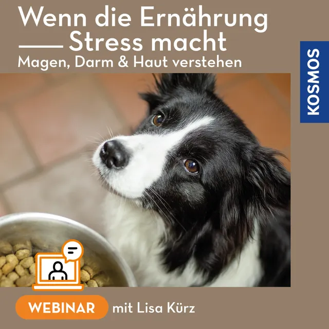 kosmos-digital-hund-ern-hrung-webinar-live-webinar-magen-darm-haut image 1