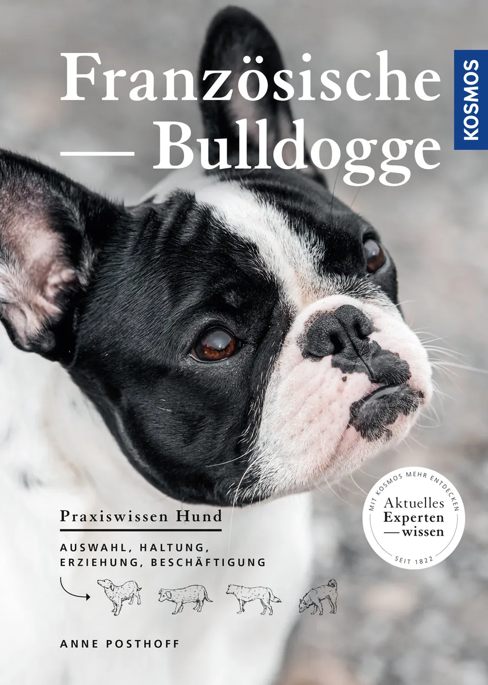 kosmos-franz-sische-bulldogge-e-book-kindle-ausgabe-haltung image 1