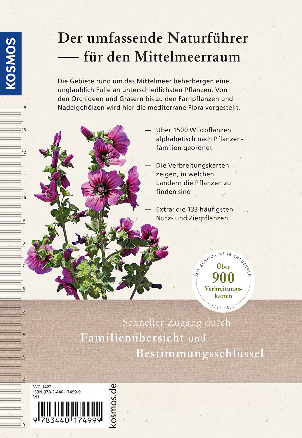 kosmos-mittelmeerflora-naturf-hrer-1600-pflanzen-mit-fotos image 2