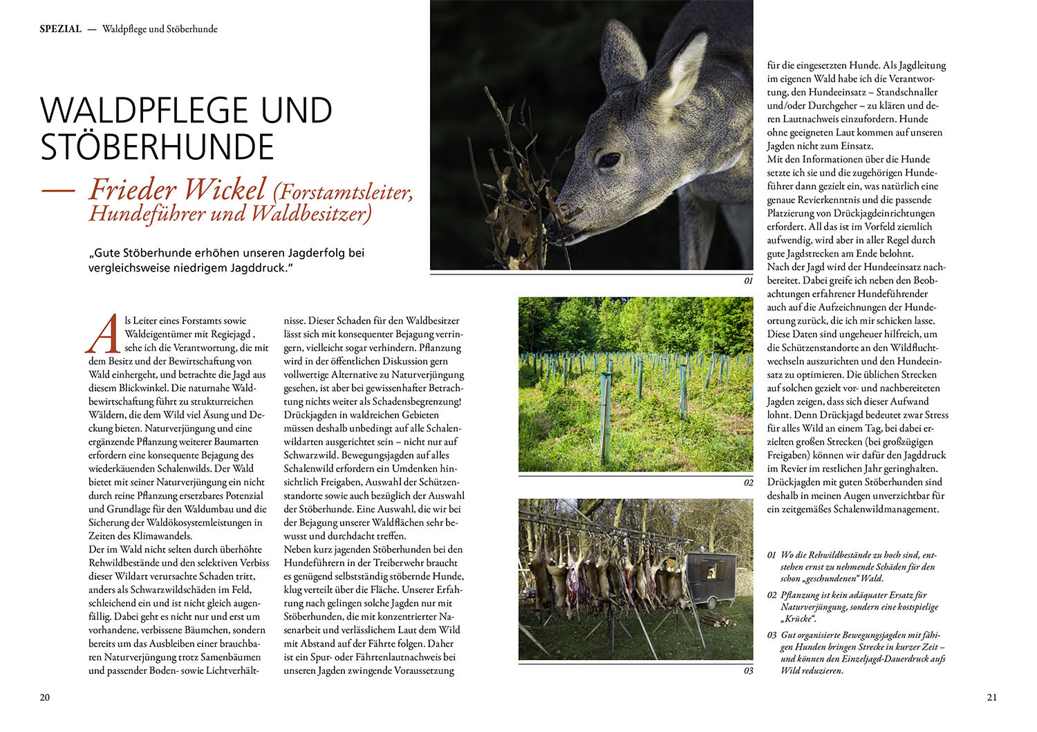 die-zauberkicker-jagen-mit-st-berhunden-praxisbuch-jagd image 3