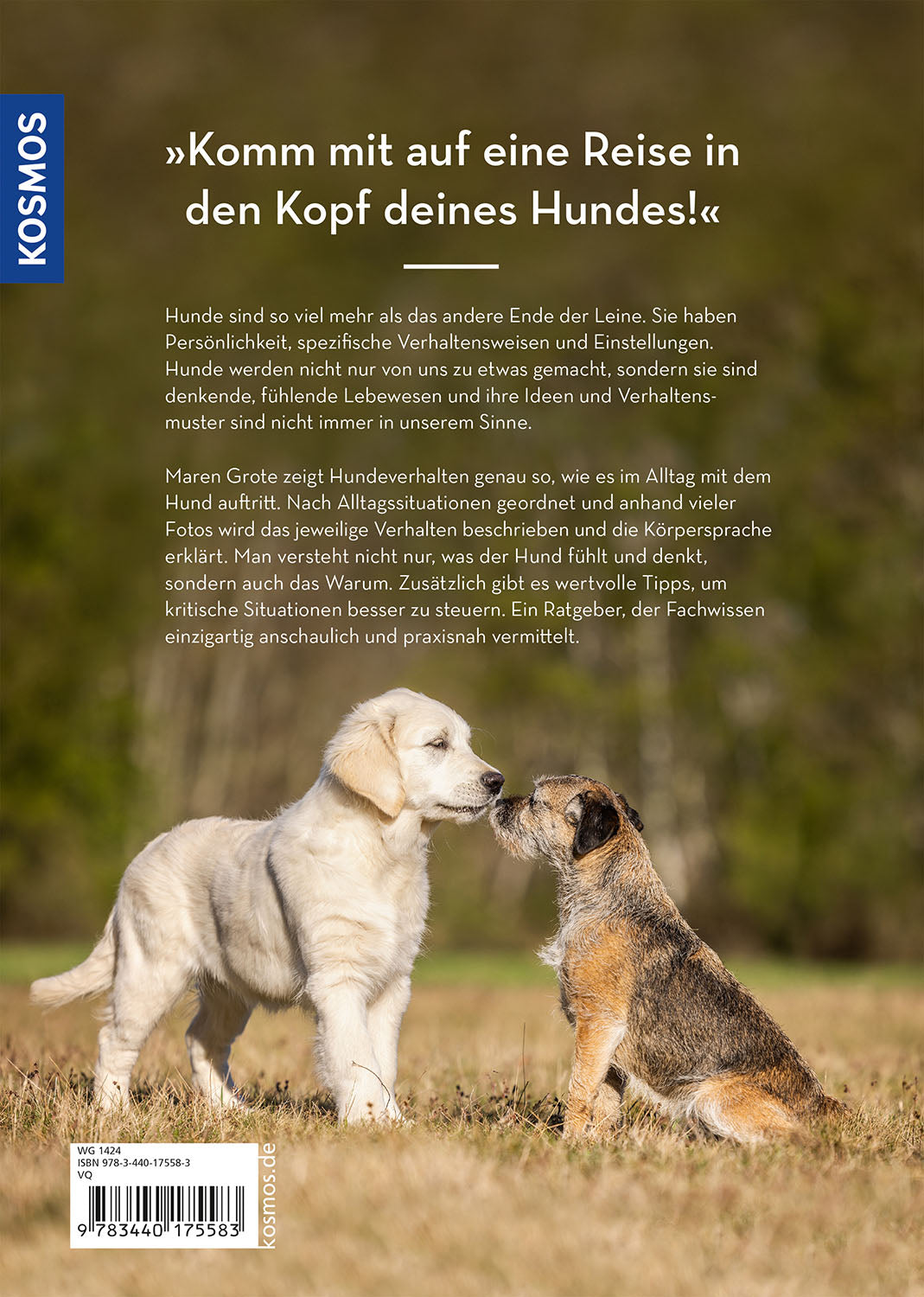 kosmos-hunde-lesen-lernen-buch-maren-grote-ratgeber image 2