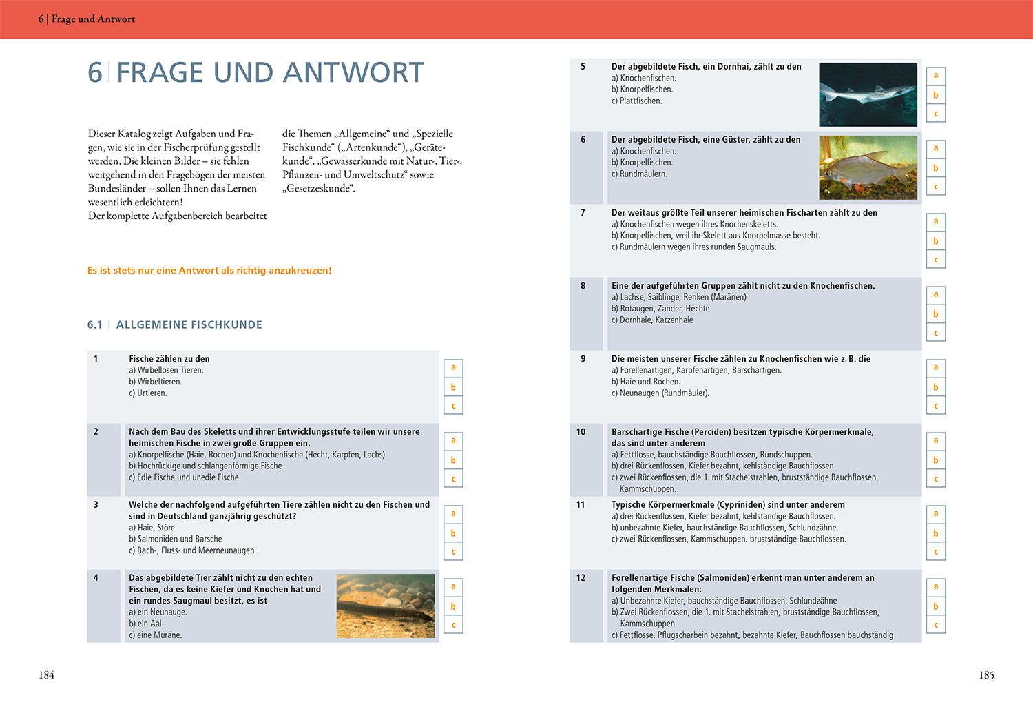 adventure-games-b-cher-die-fischerpr-fung-buch-1052-fragen-online-test image 6